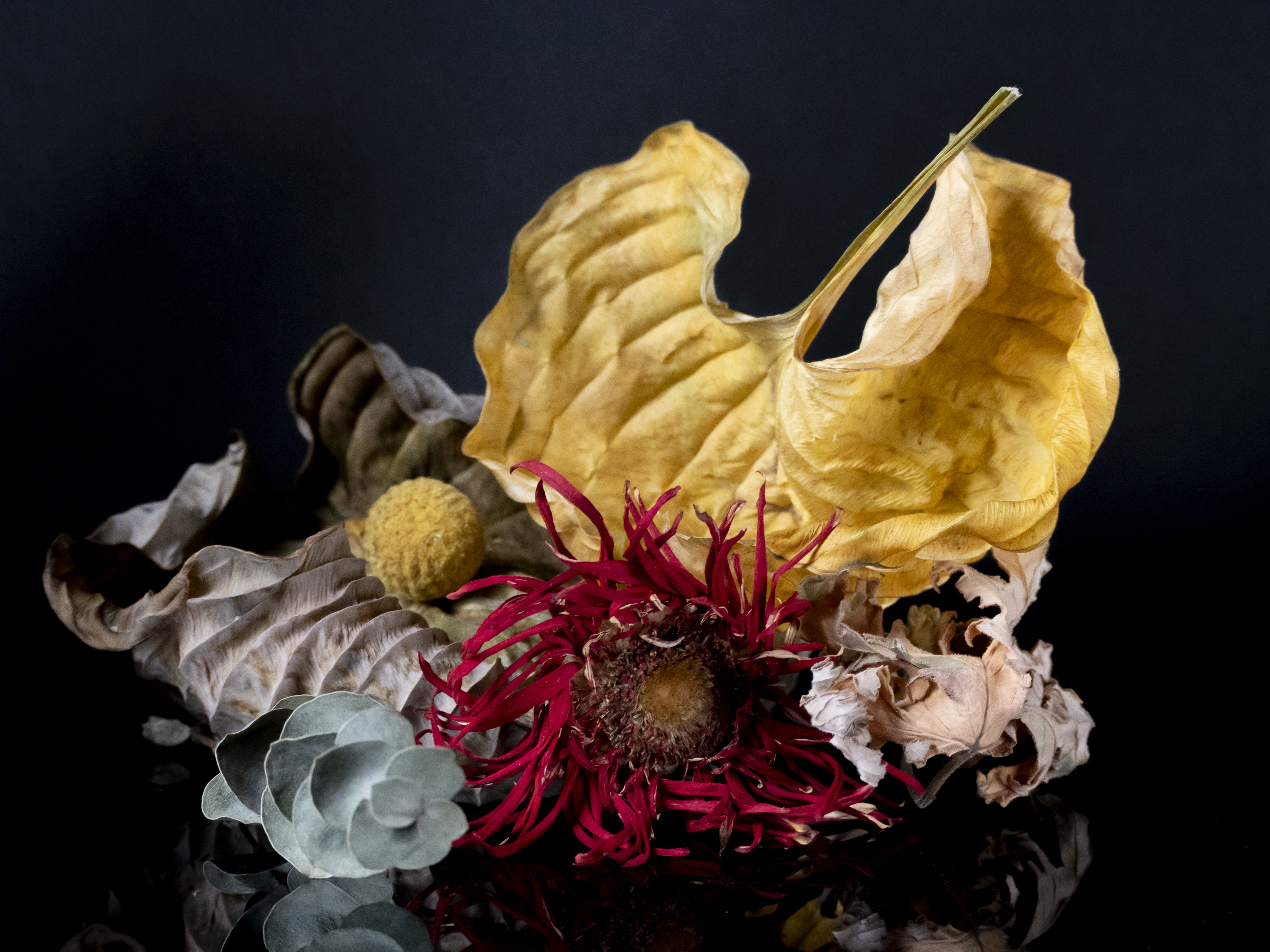 Adieux (Flowers and Leaves)