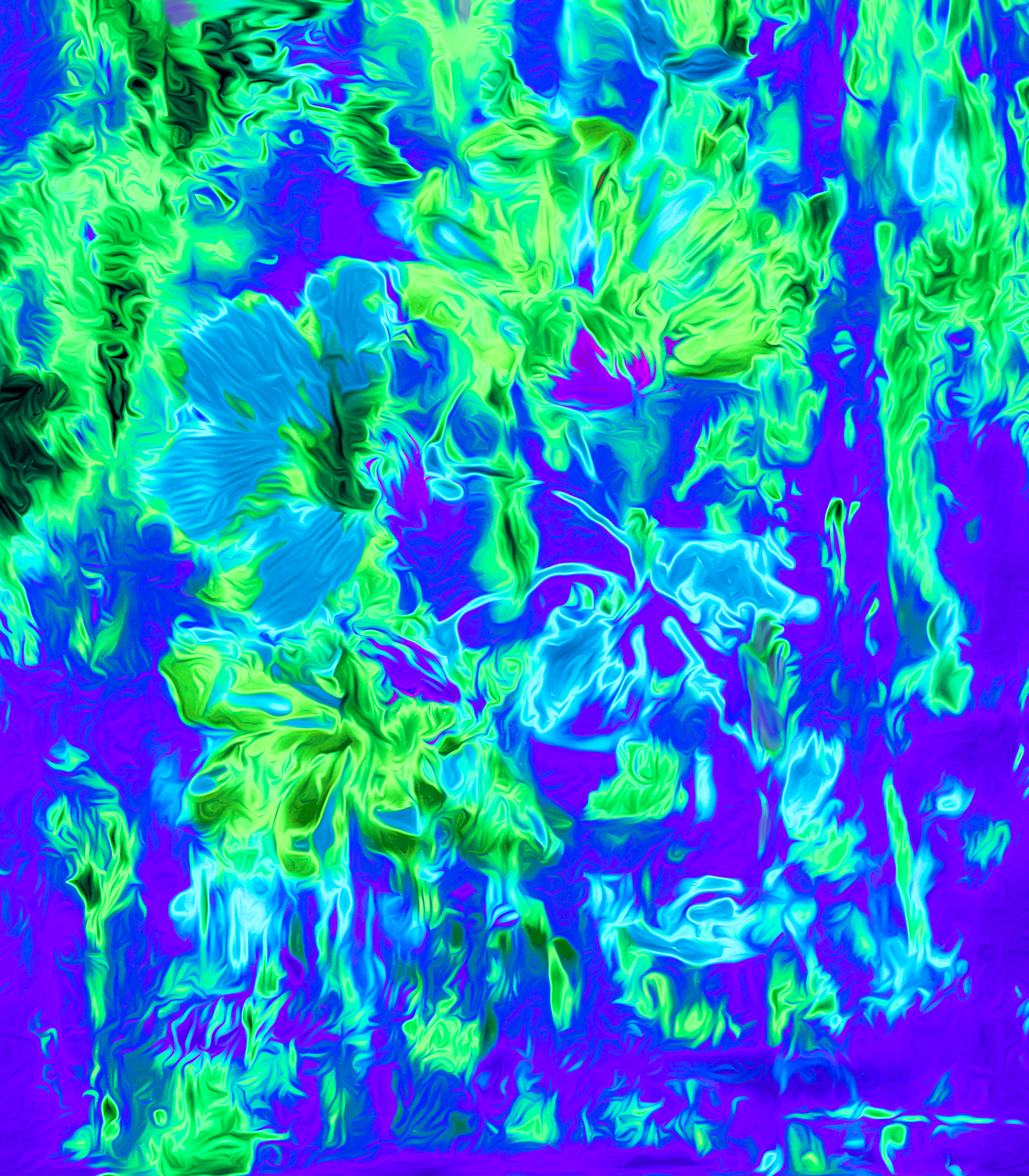 Deep delight- planta (4)