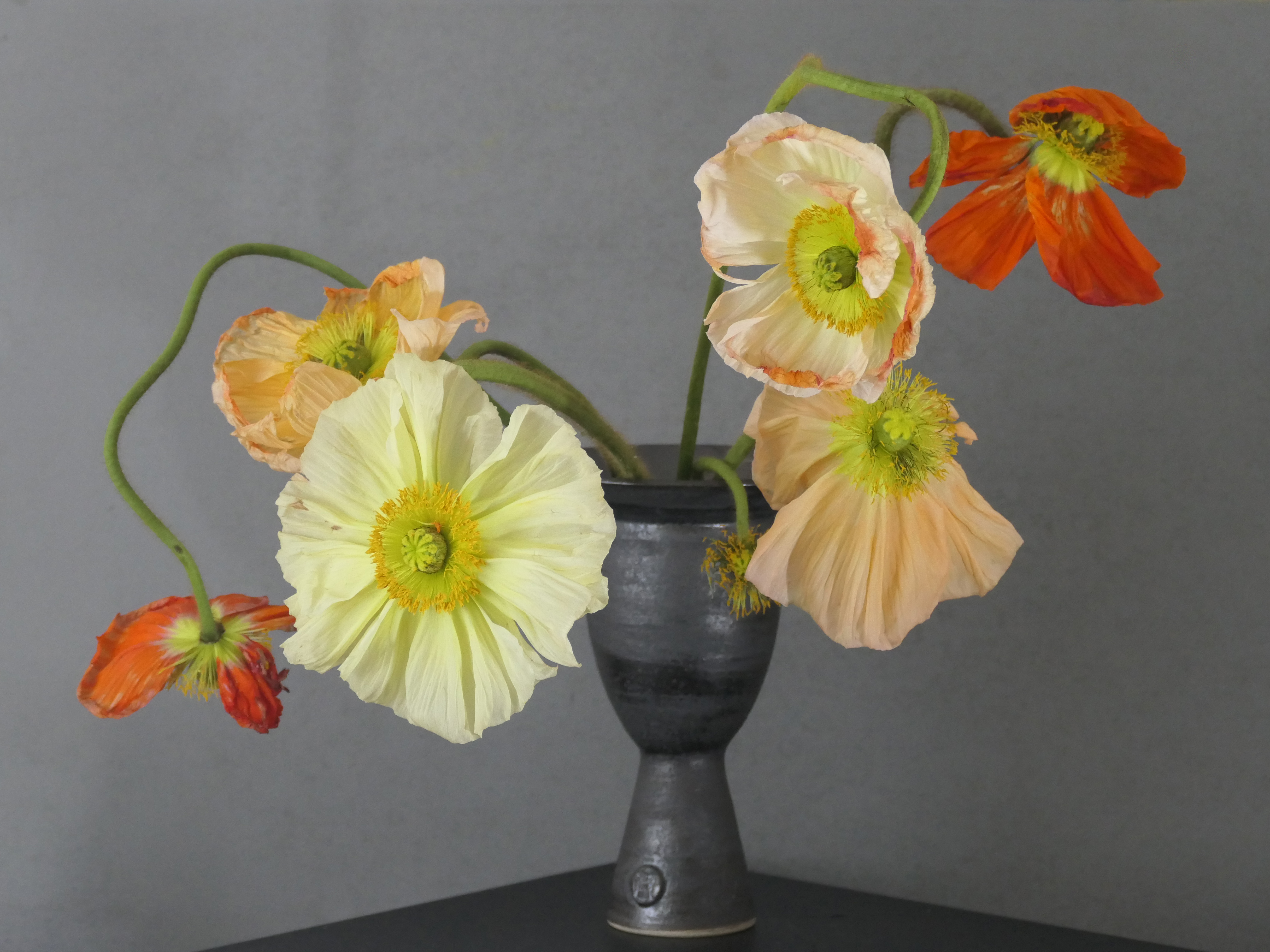 Still Life (Special edition)