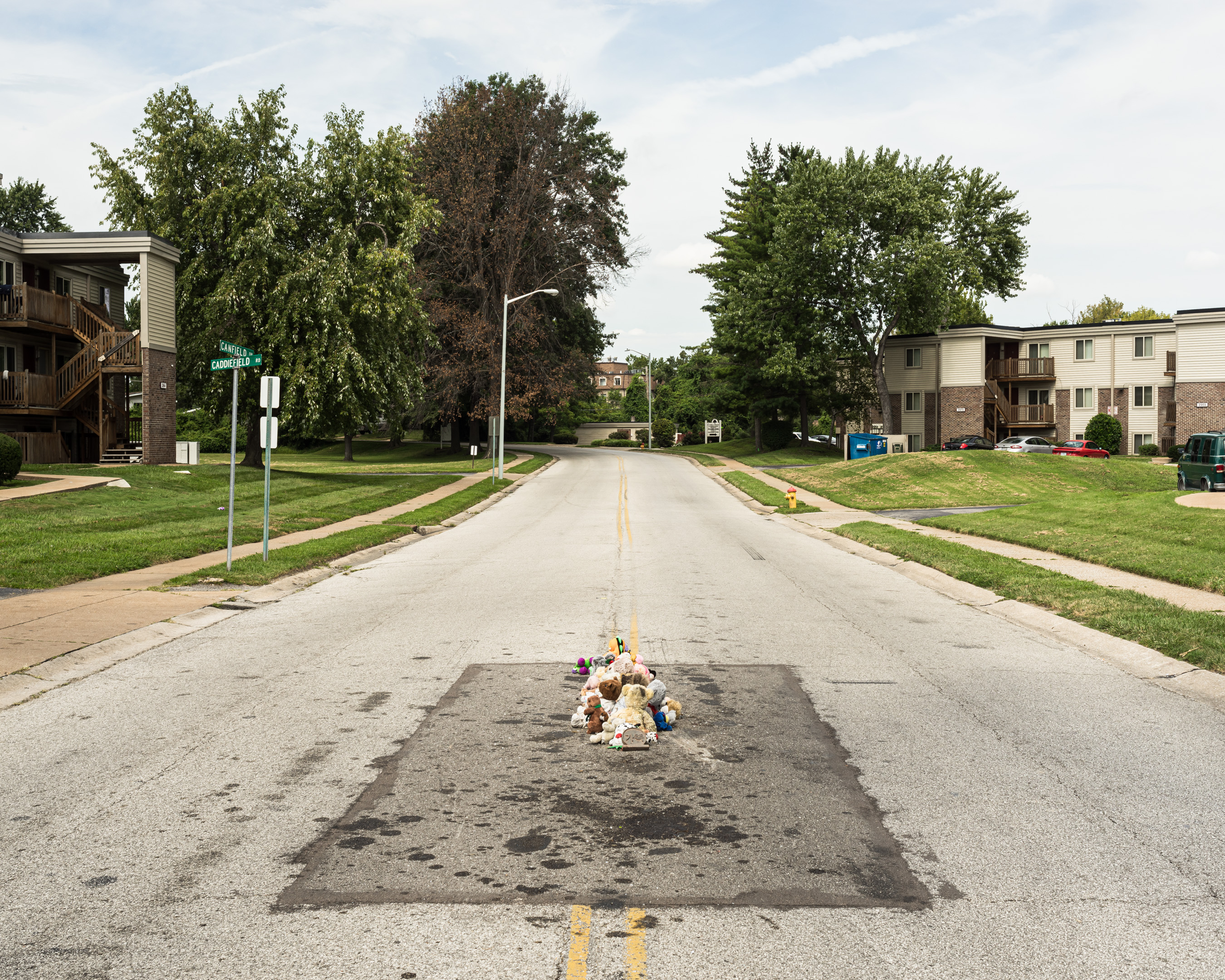 ​The Murder of Michael Brown, Ferguson, Missouri