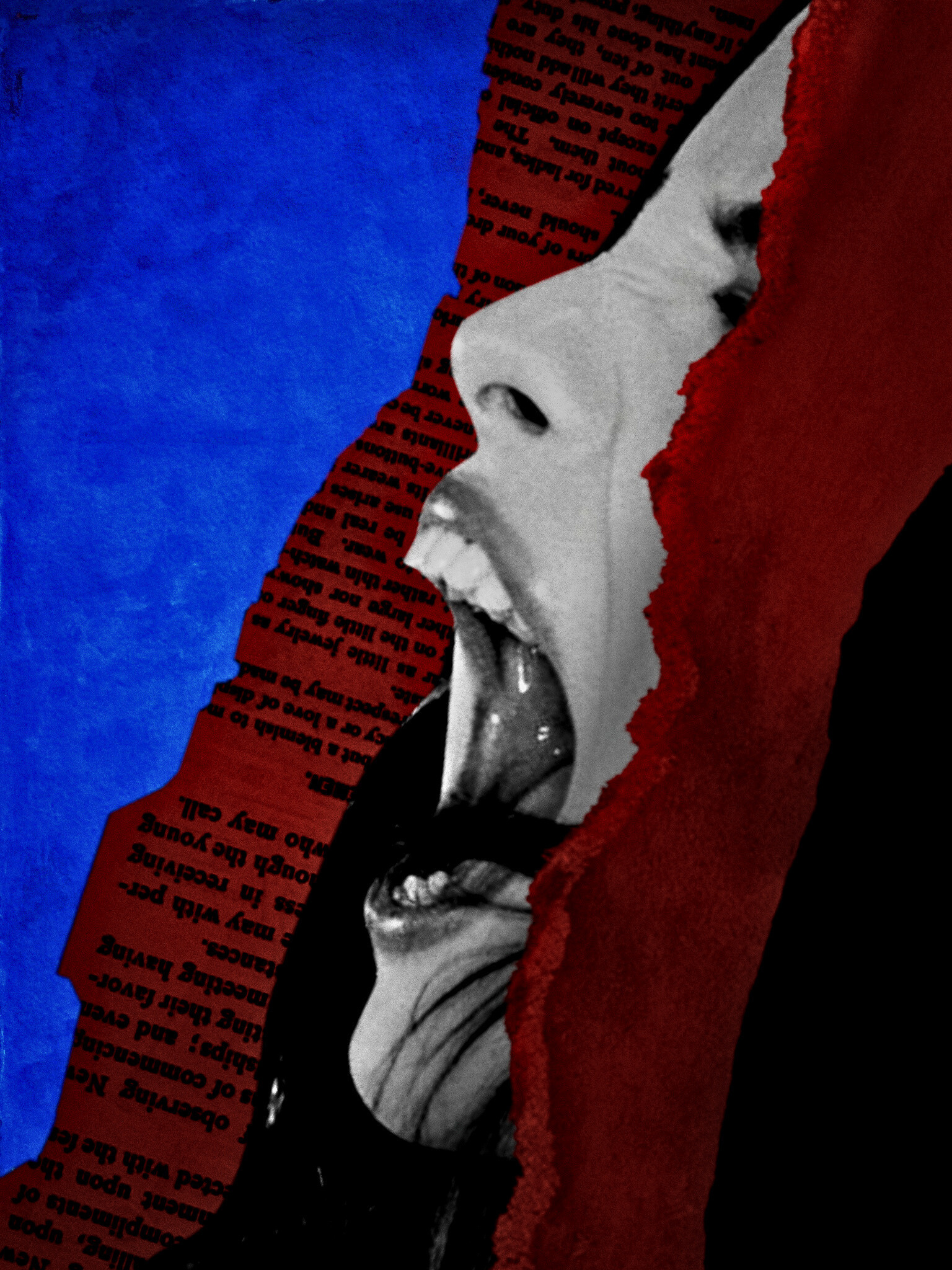 THE SCREAM