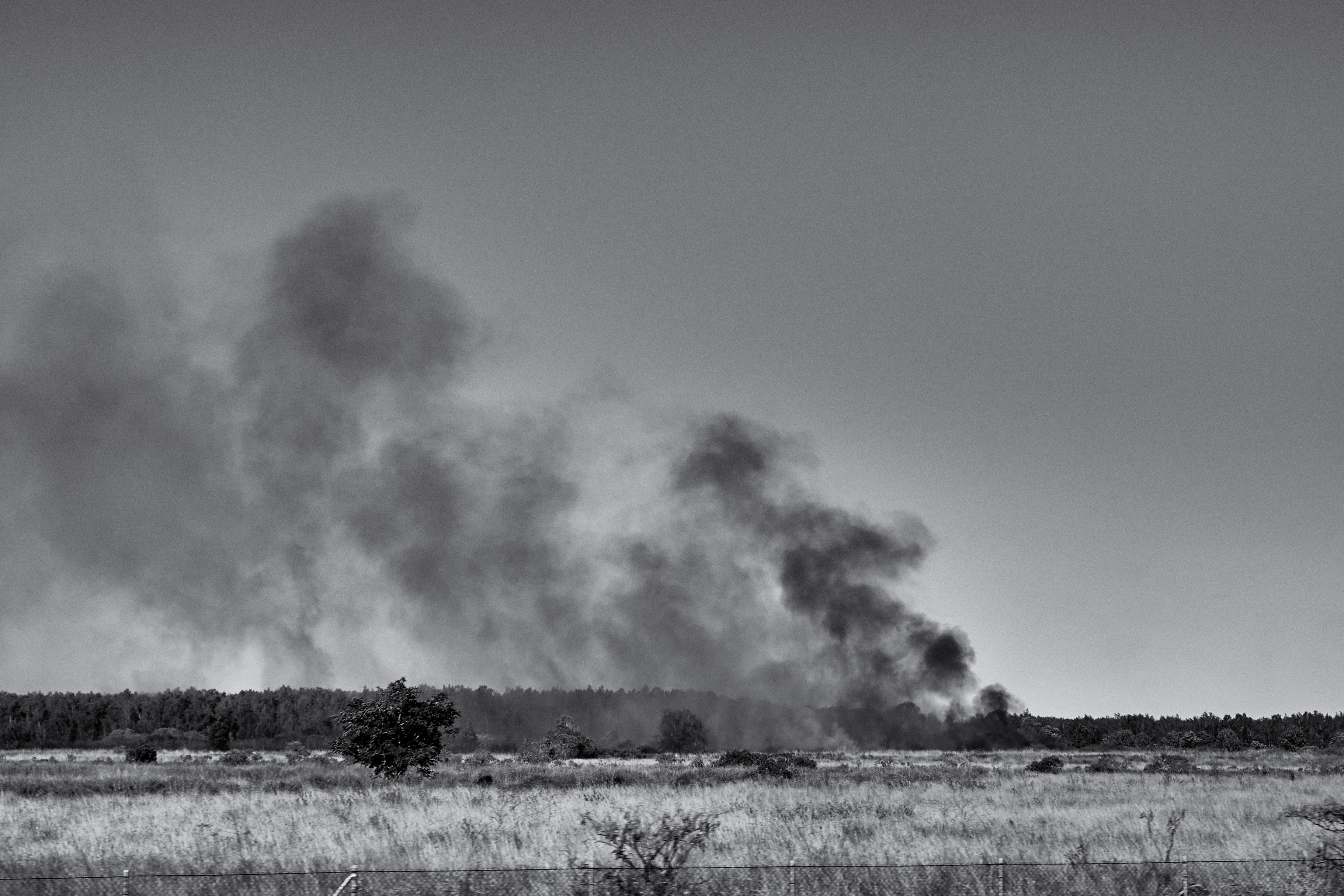 Physiographical Opaqueness // Scar Tissue