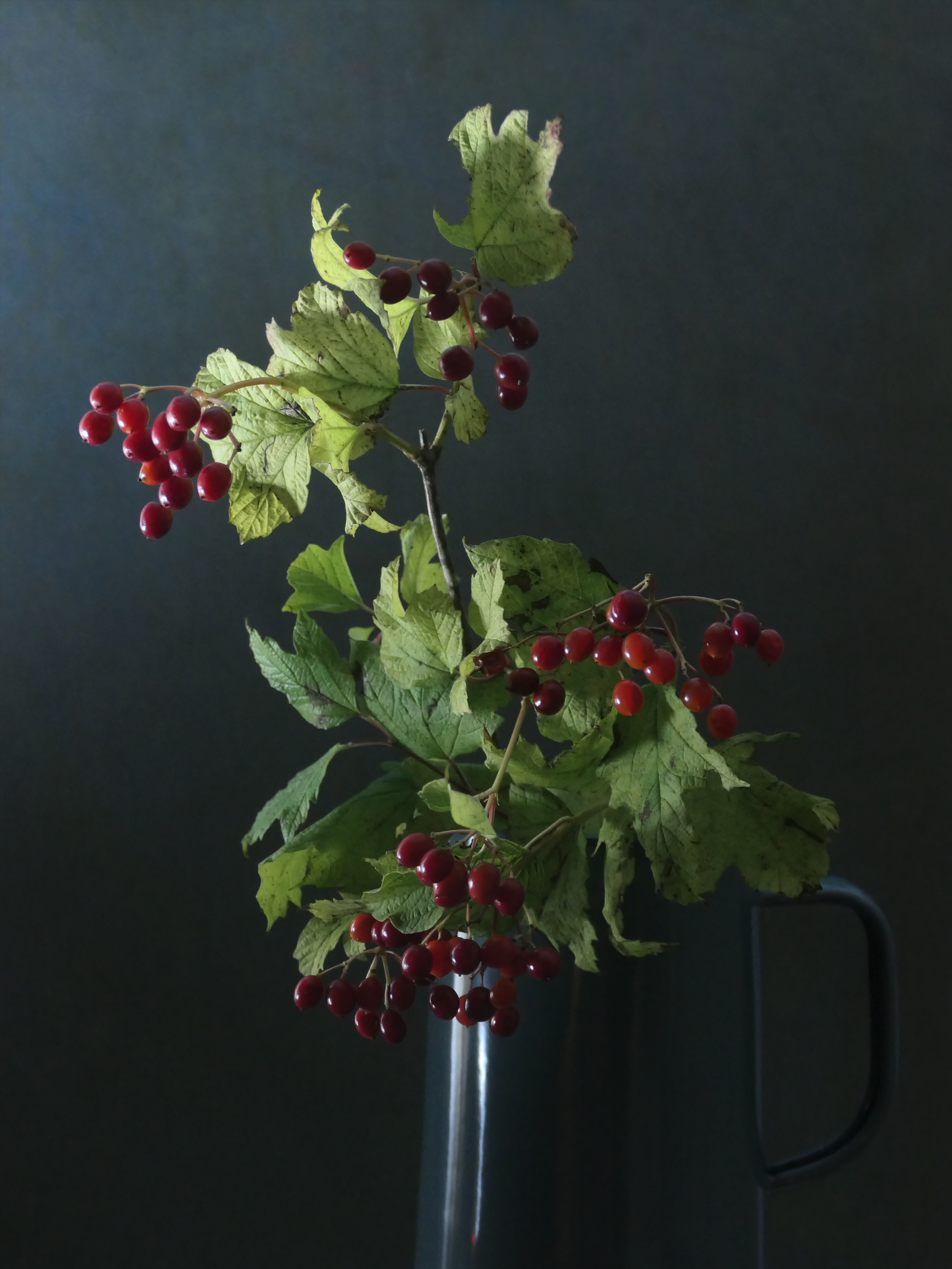 Berries in Tin Pitcher