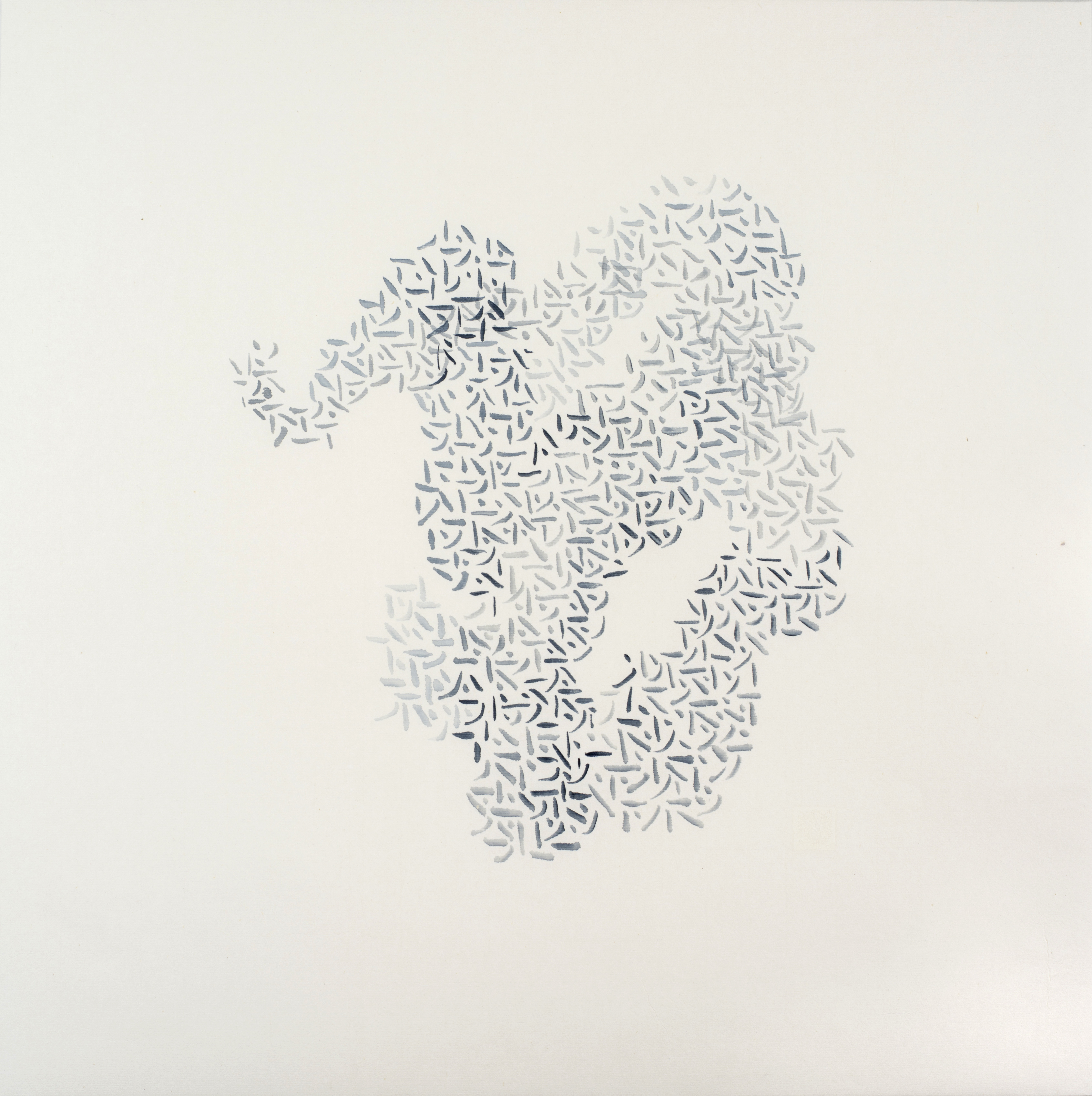 Swooping Starlings in Murmuration