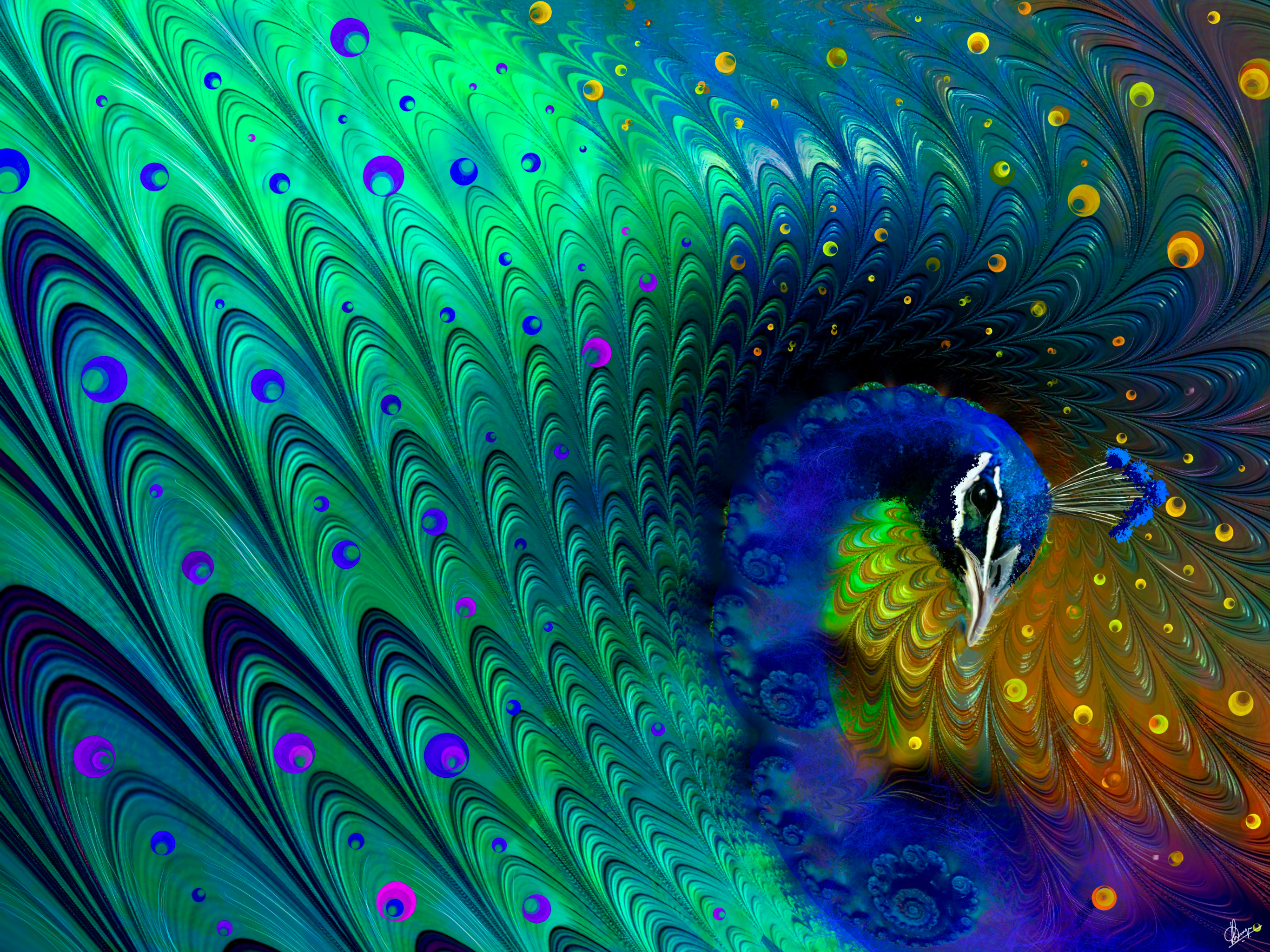 Fractal Art Series- Birds #2 Alluring Feathers