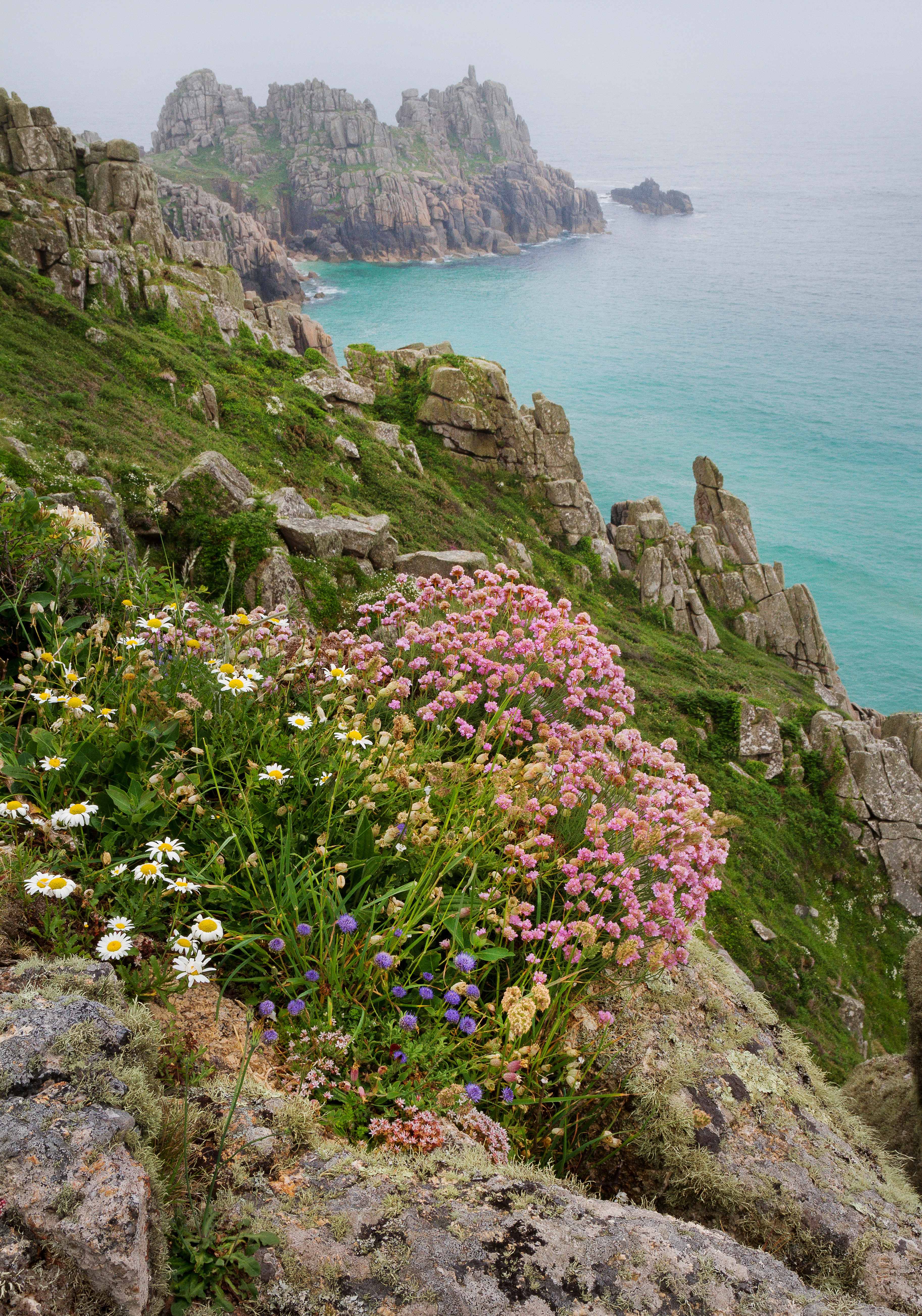 Cornish Coastal Charm