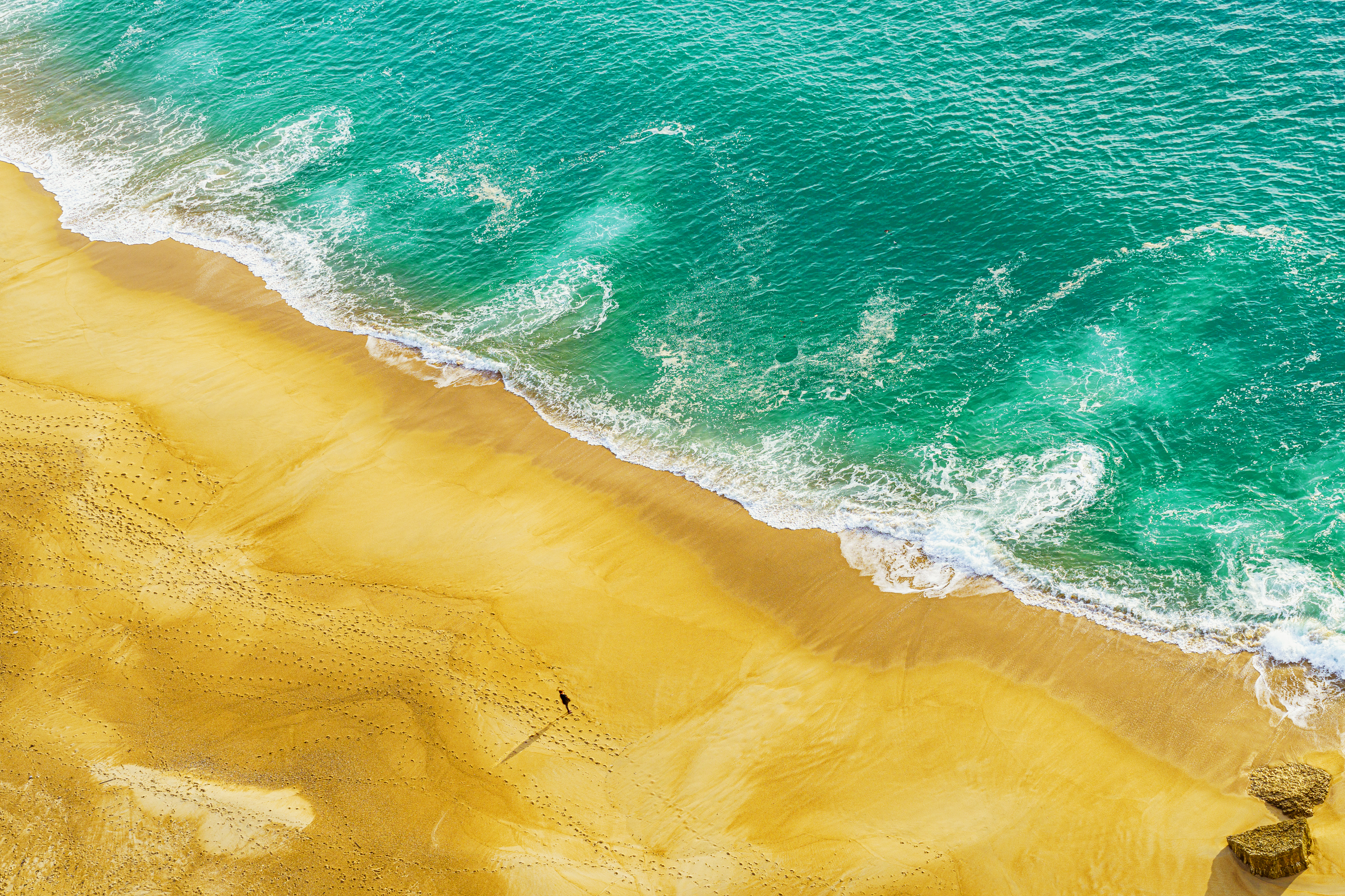 Looking at the Ocean