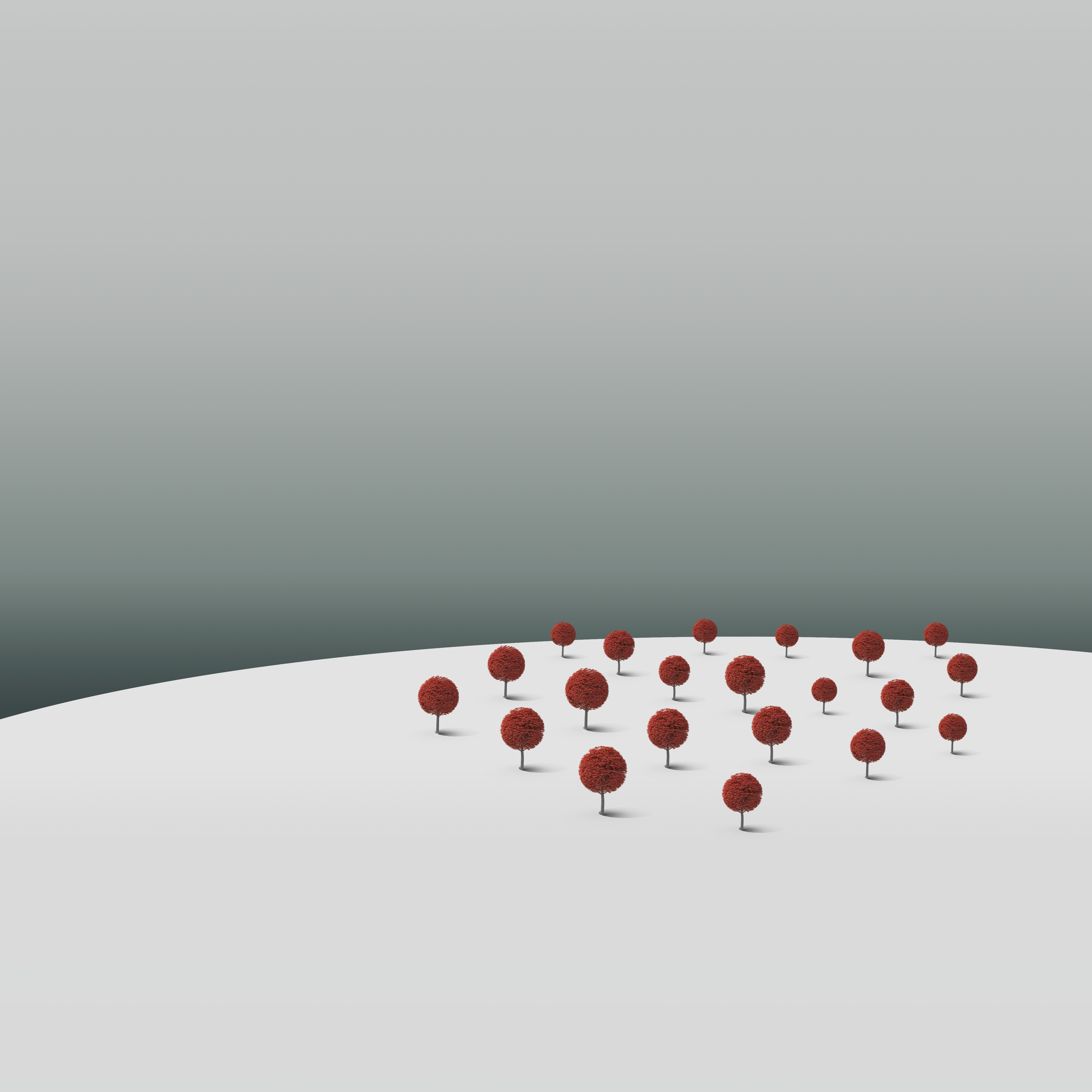 Arriving Storm on the Red Forest Hill