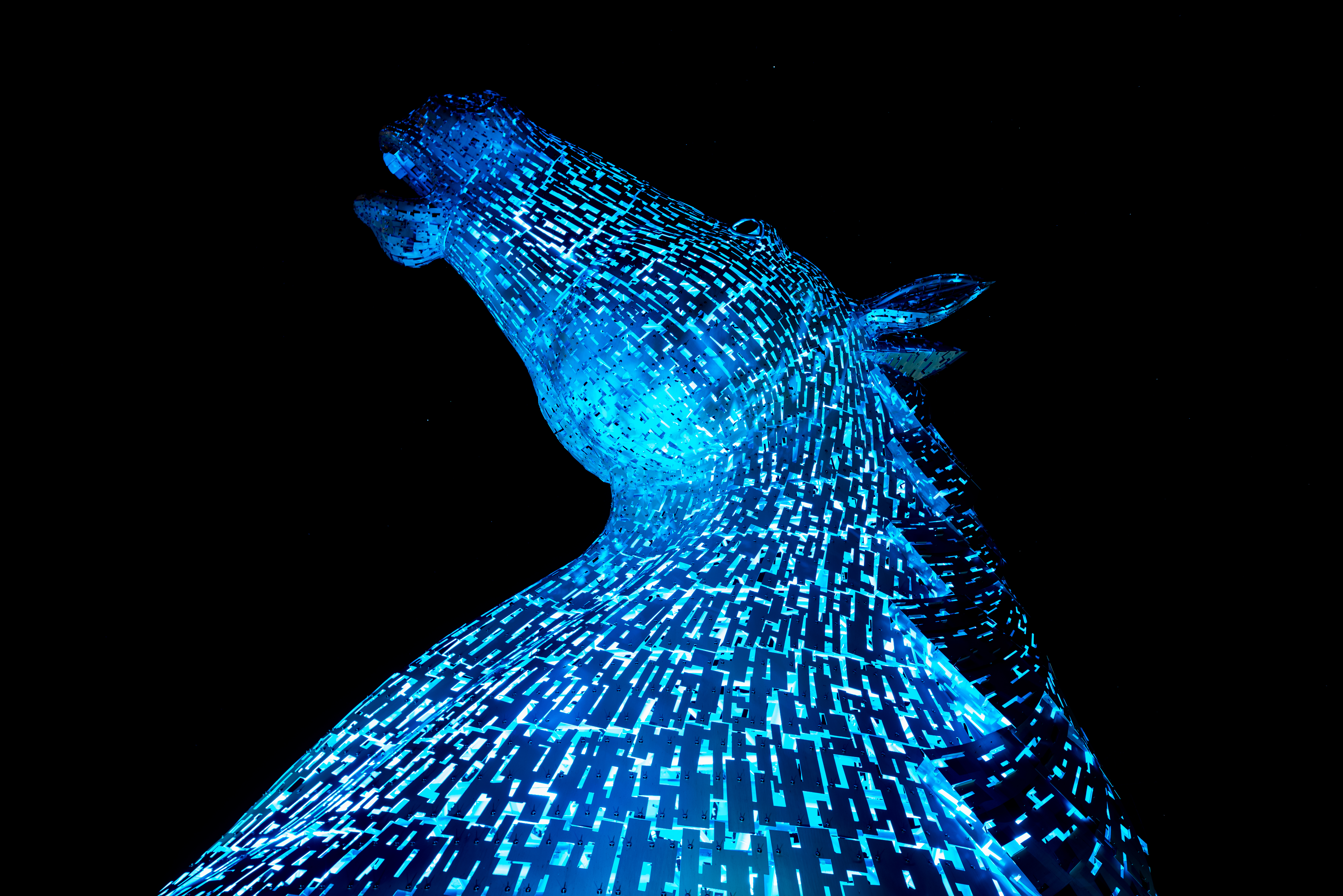 Let me take a kelpie 