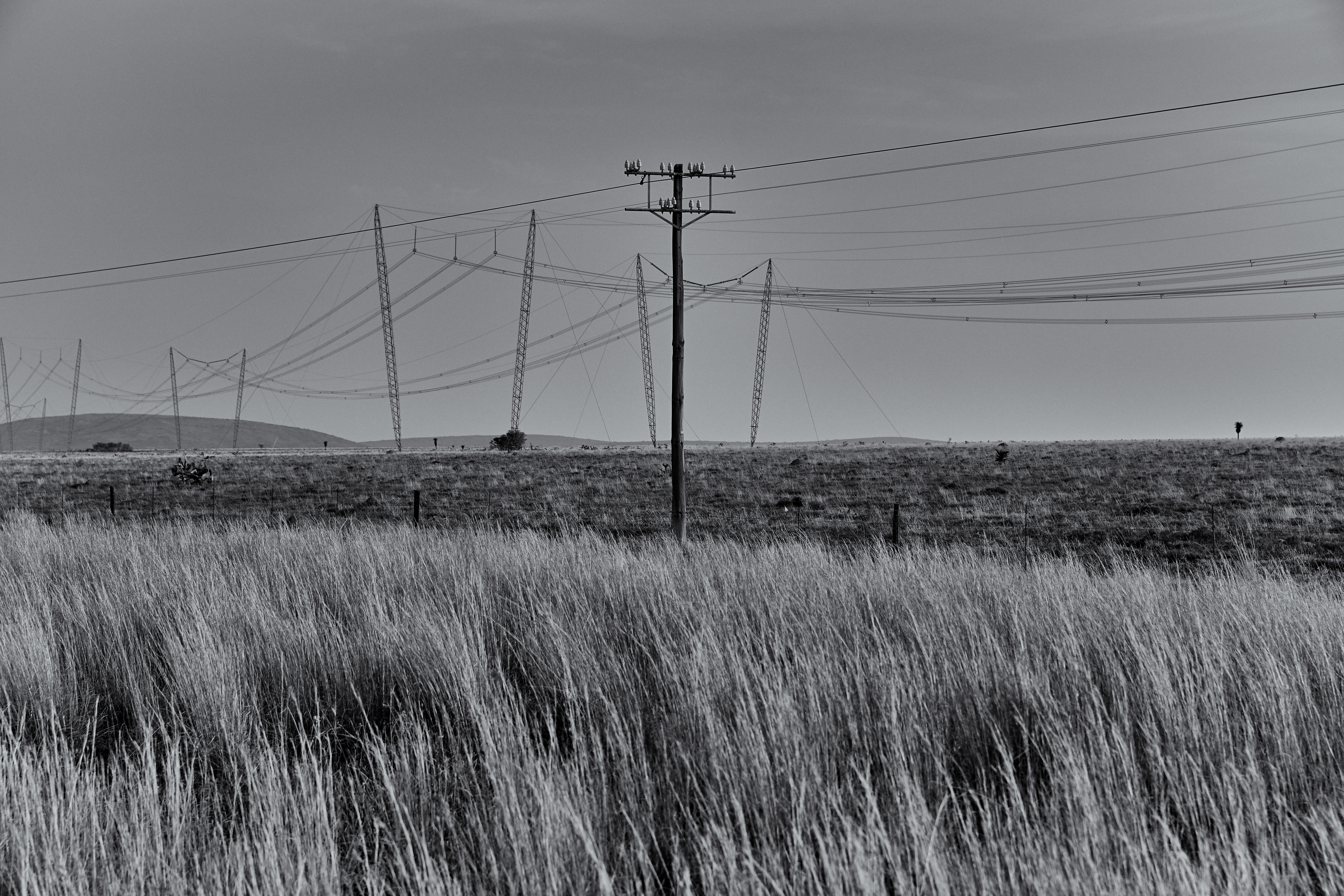  Inseparable Transmission // Scar Tissue