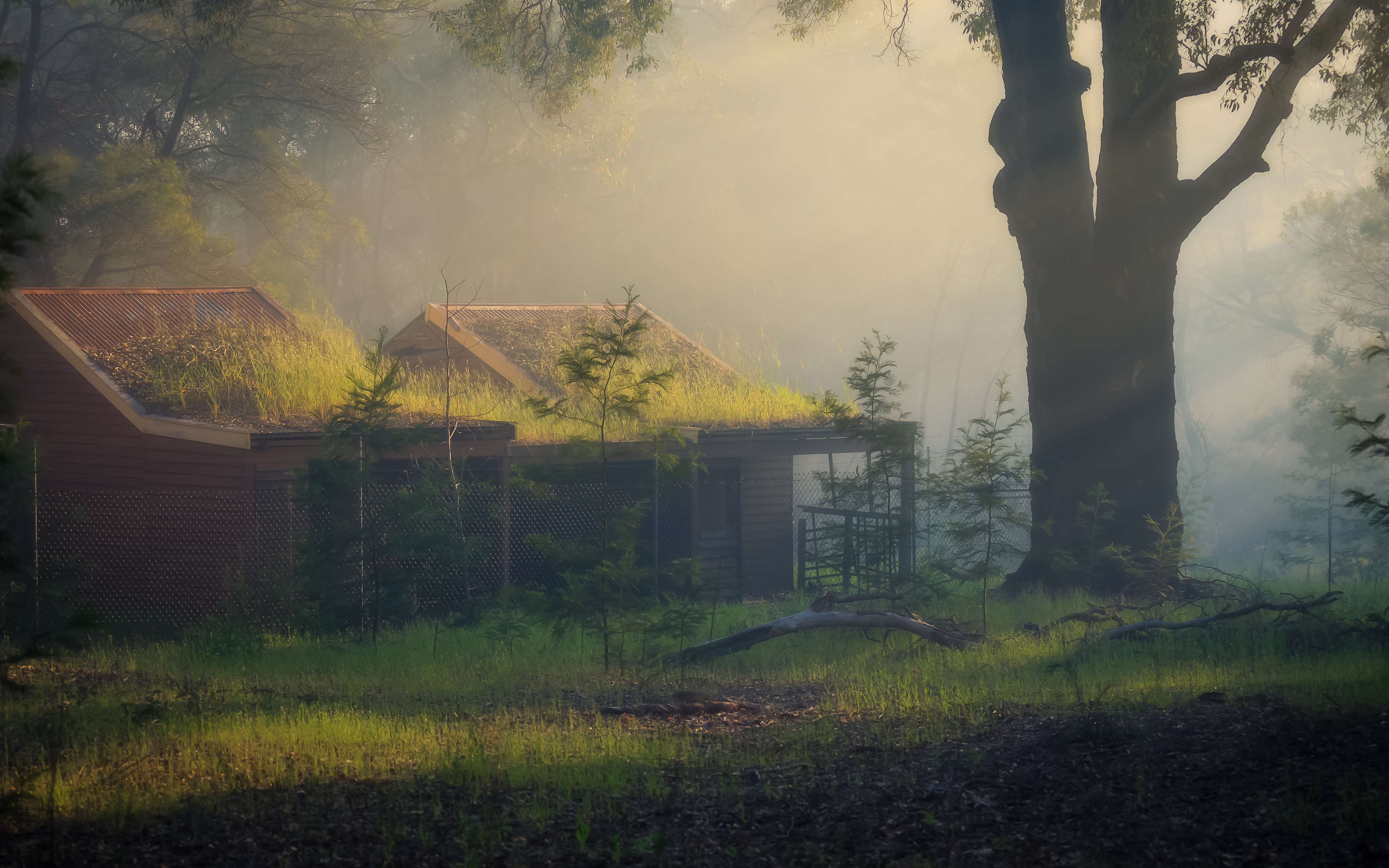 The Timber Cutters Cottages