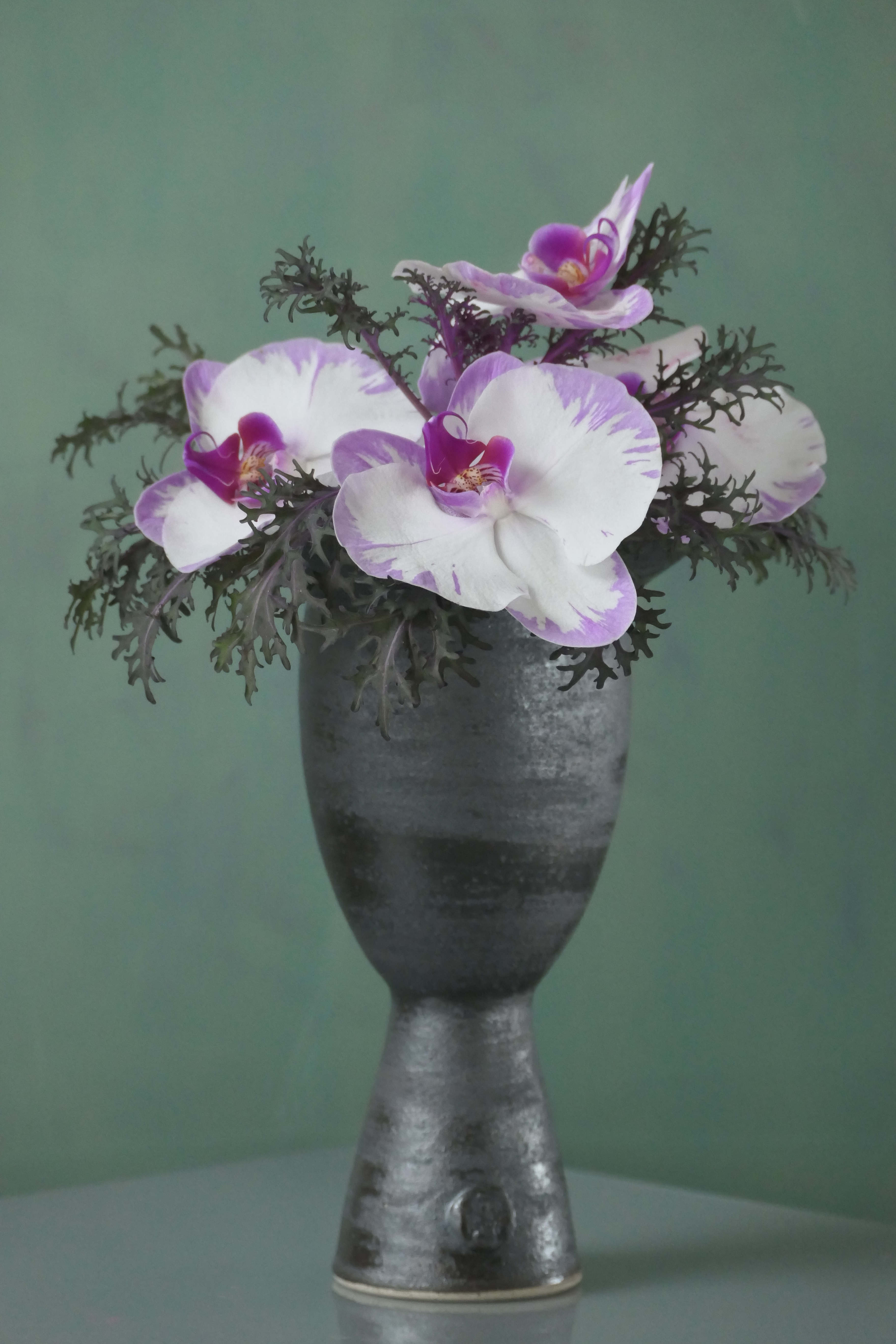 Still Life (Special edition)