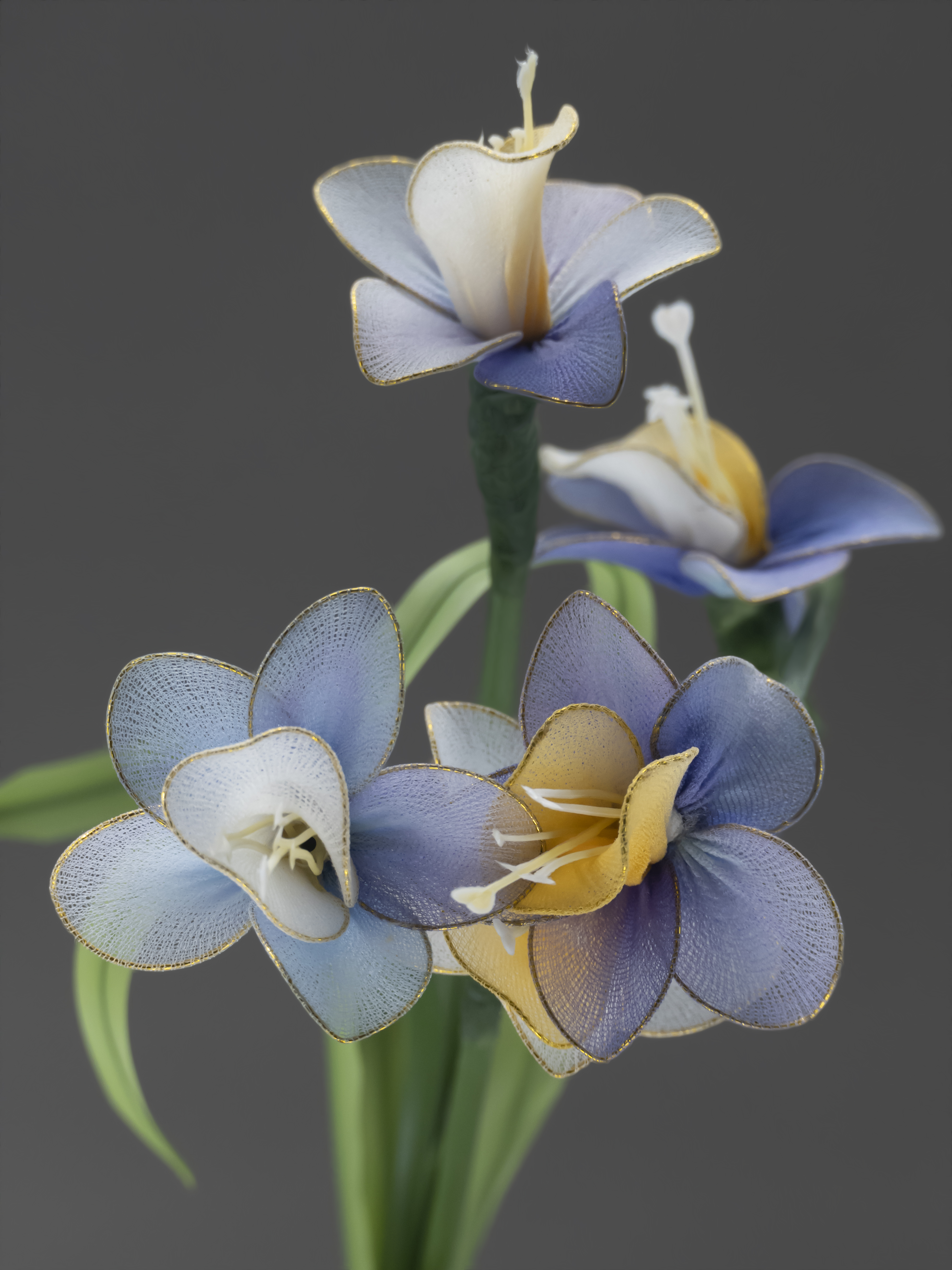 Fleur d'Artifice (Bouquet)