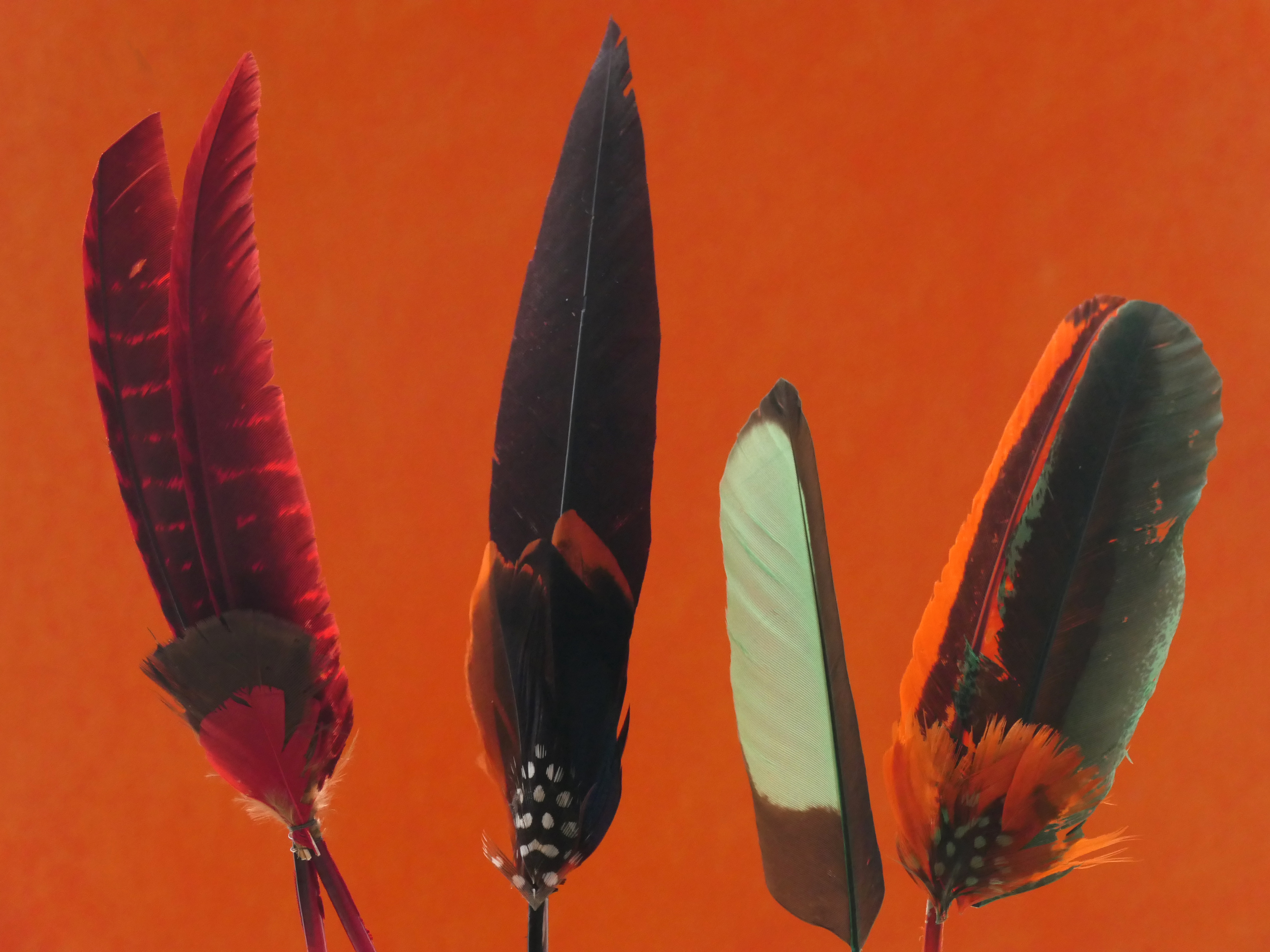 The Secret Life of Everyday Things (Special ed.)