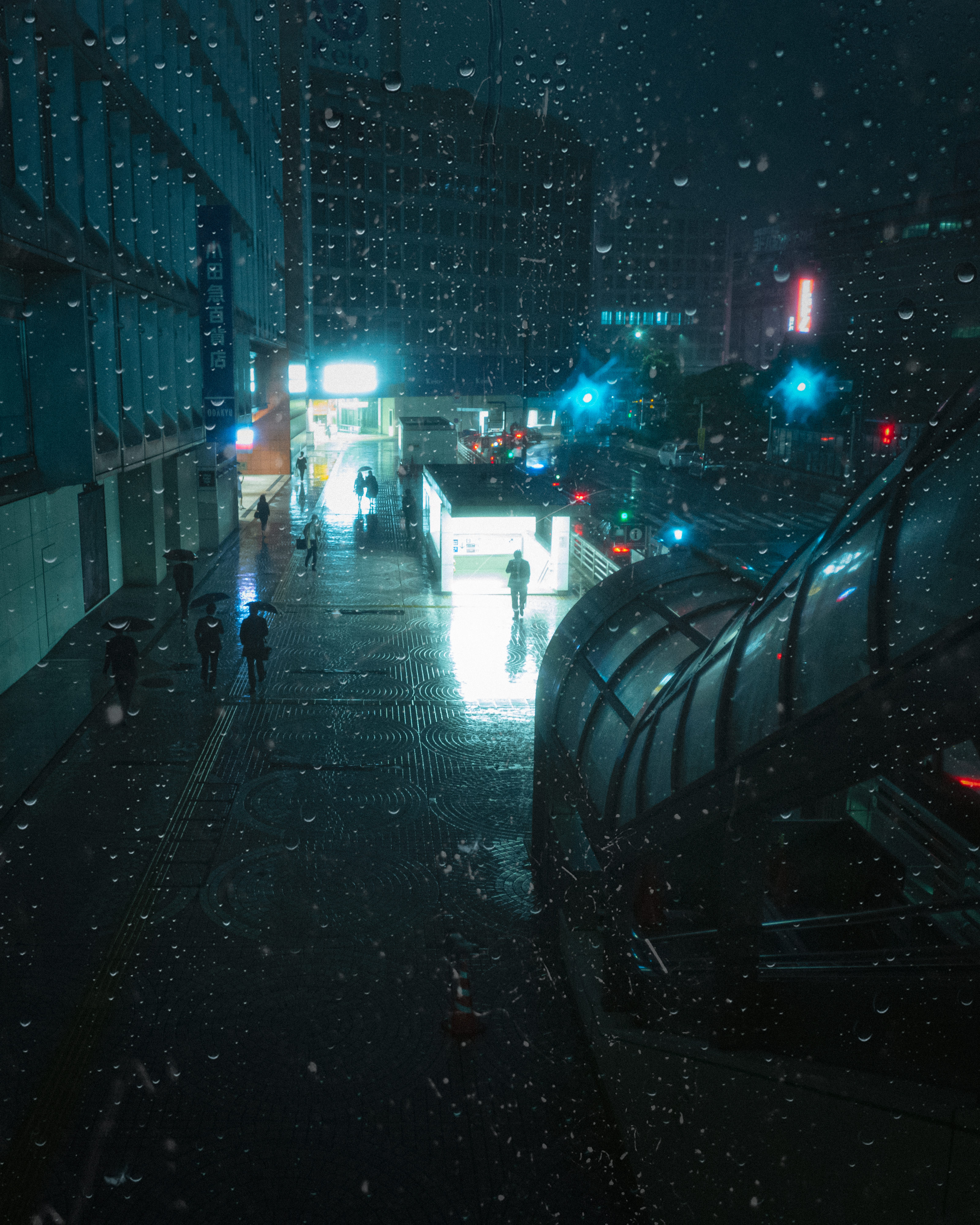 Into the Light | 光の中へ