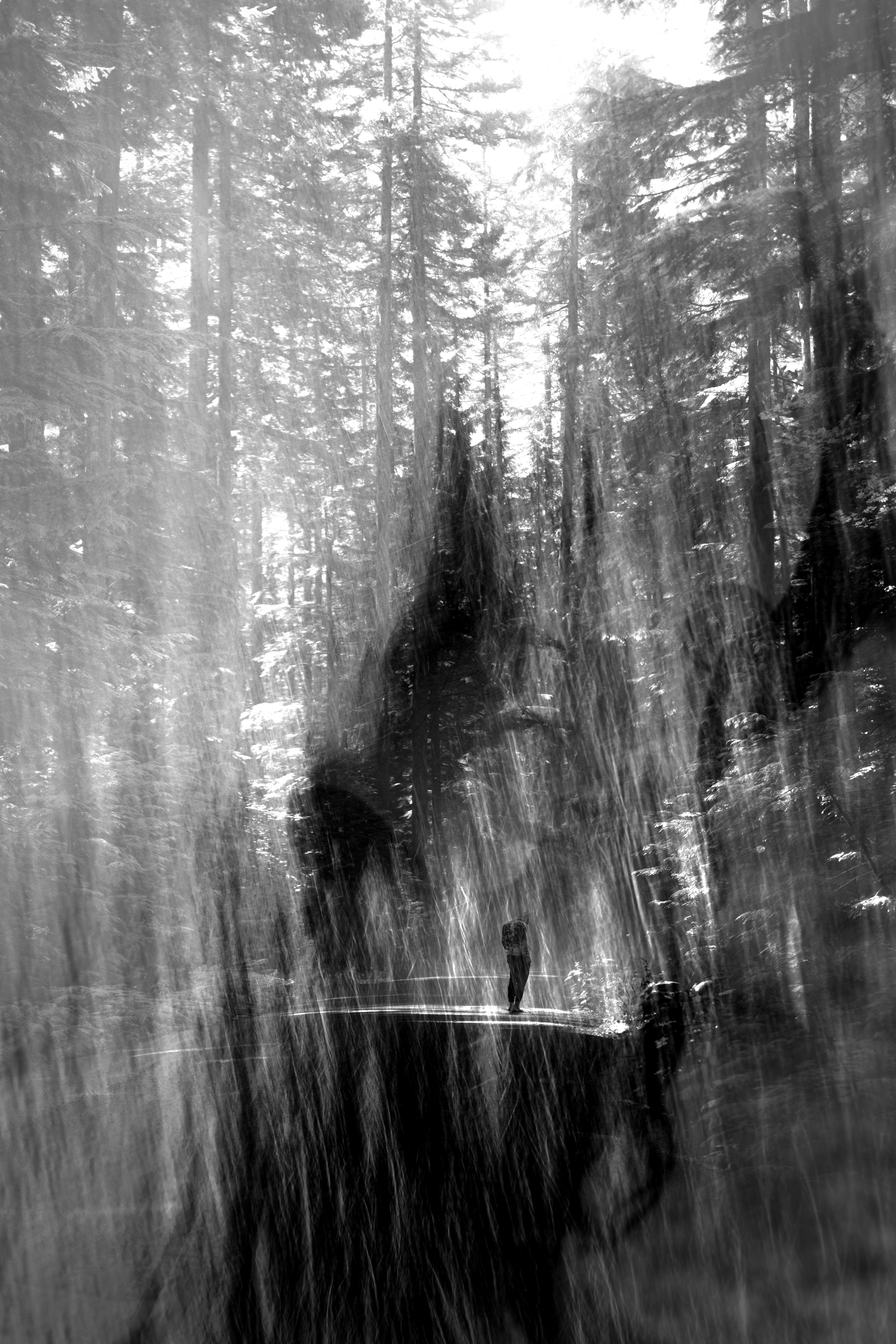 I Went Back But You Weren't There