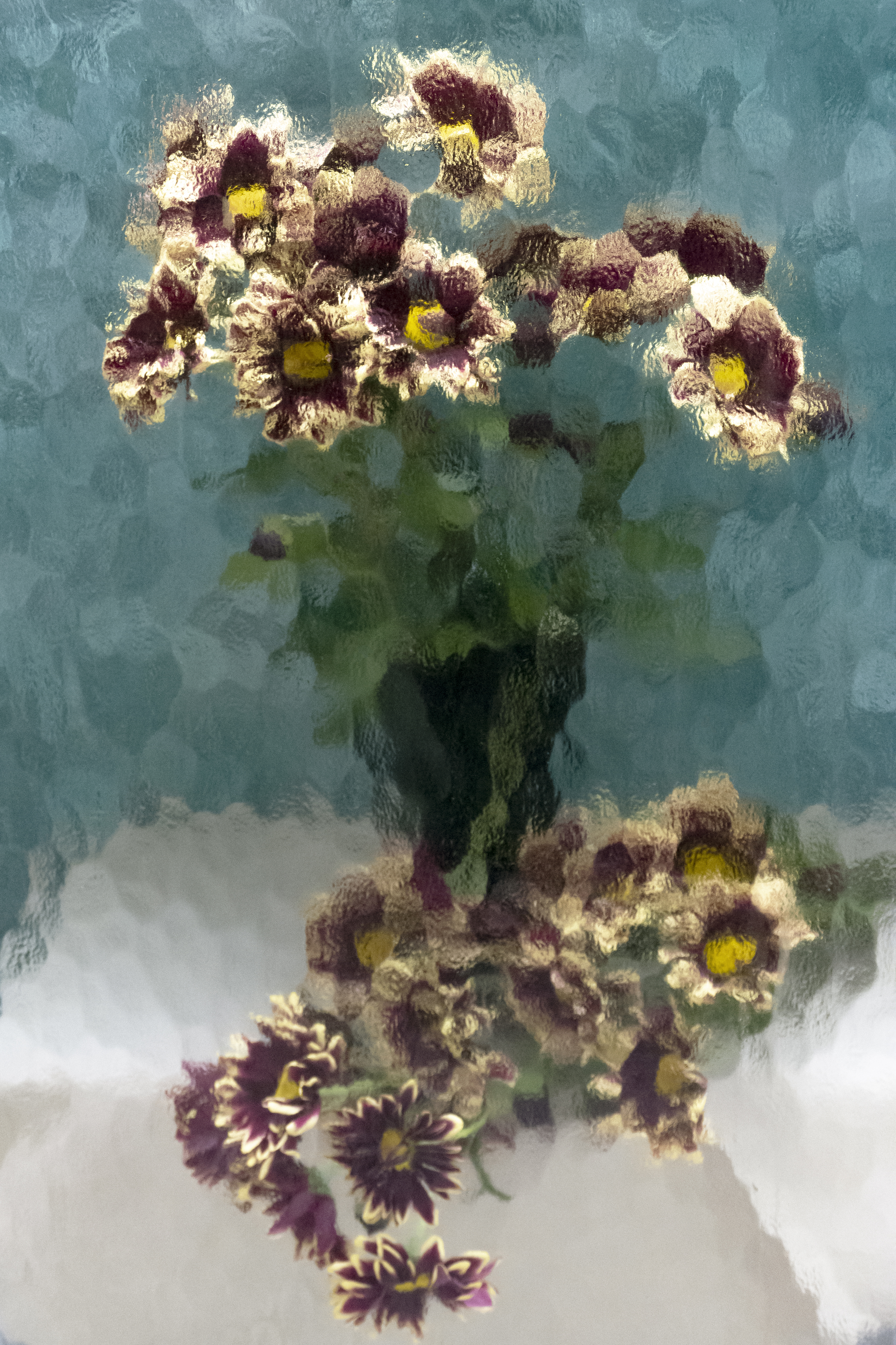 Still Life with Autumn Daisies