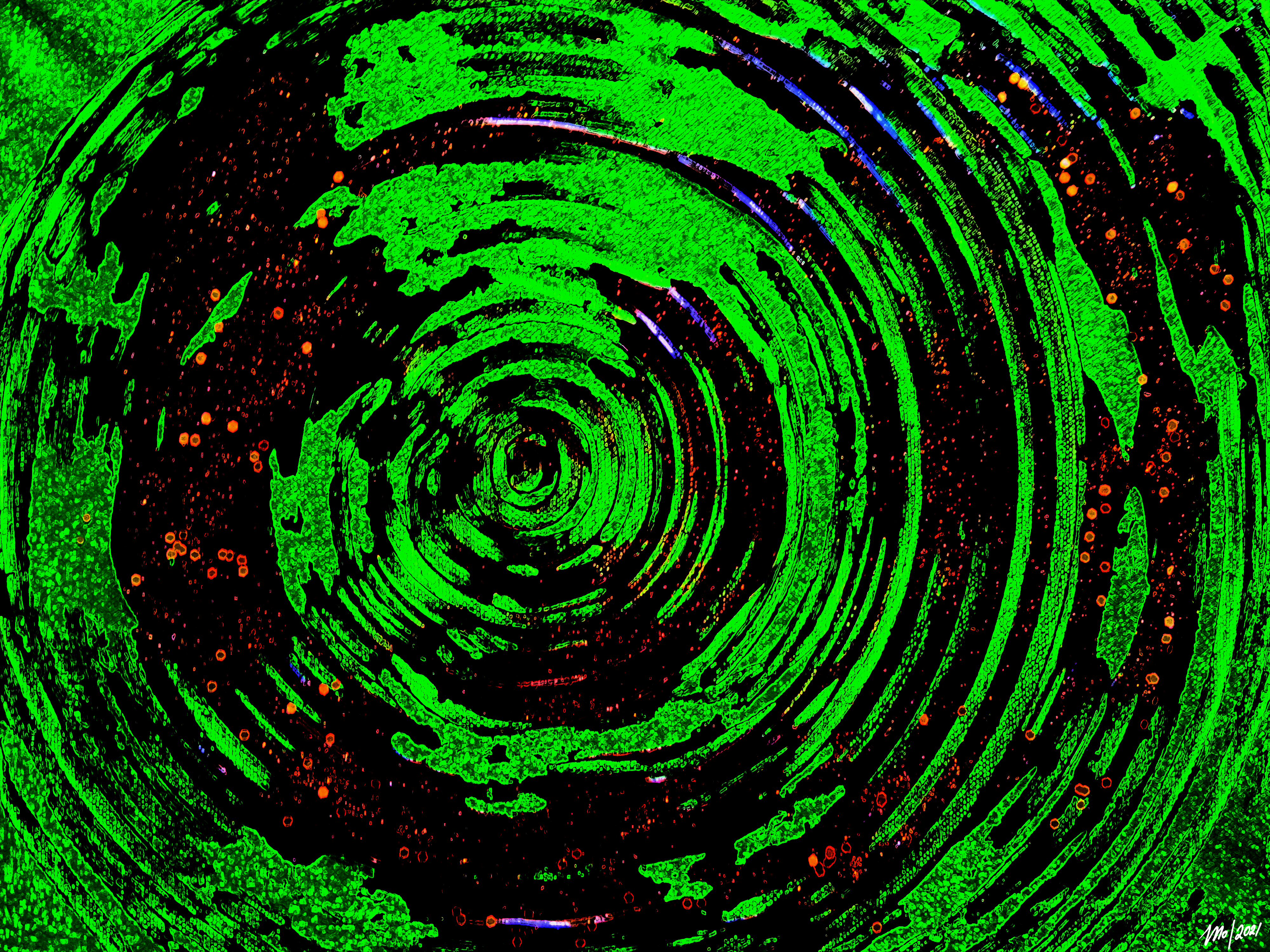 Black Hole Vortex