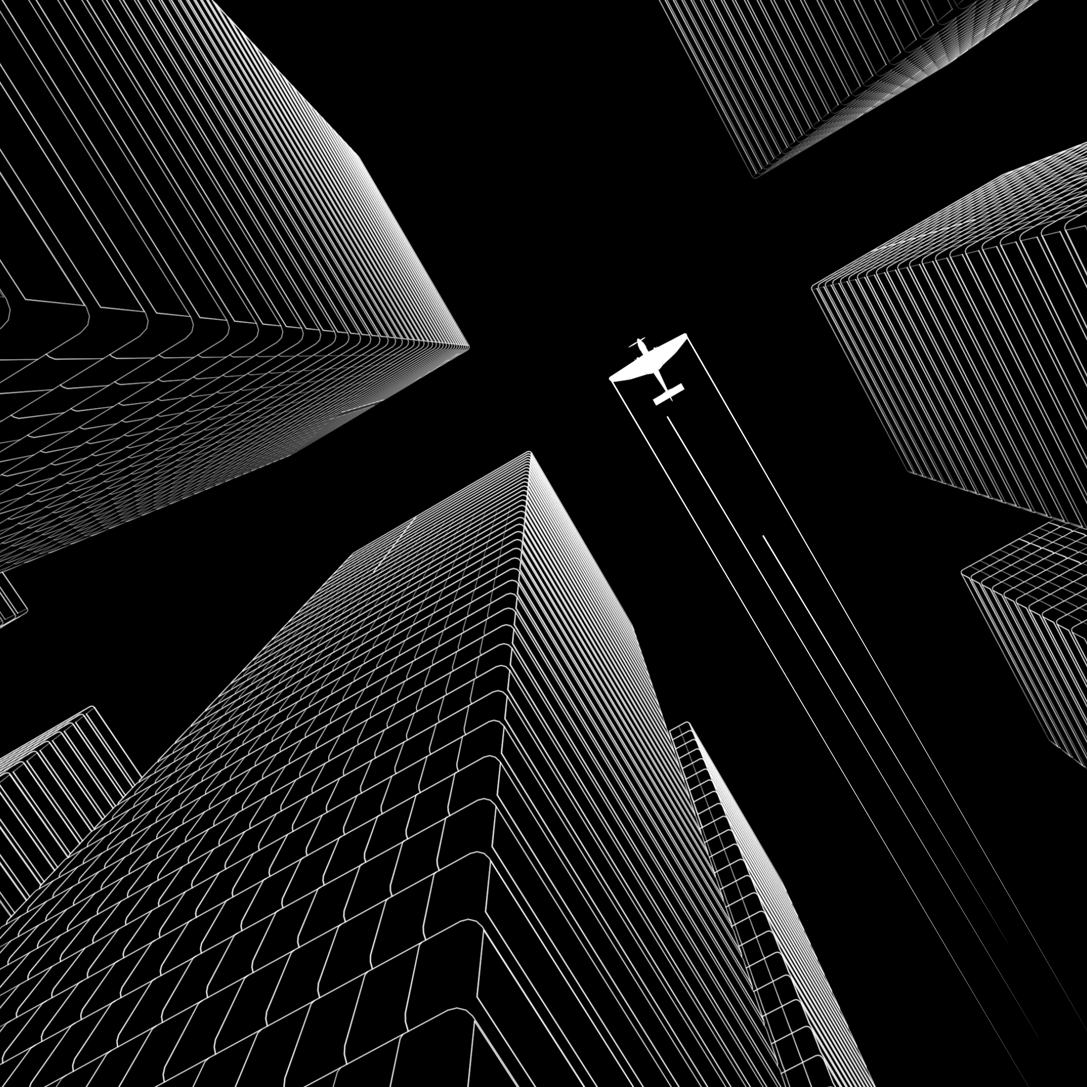 Fly High
