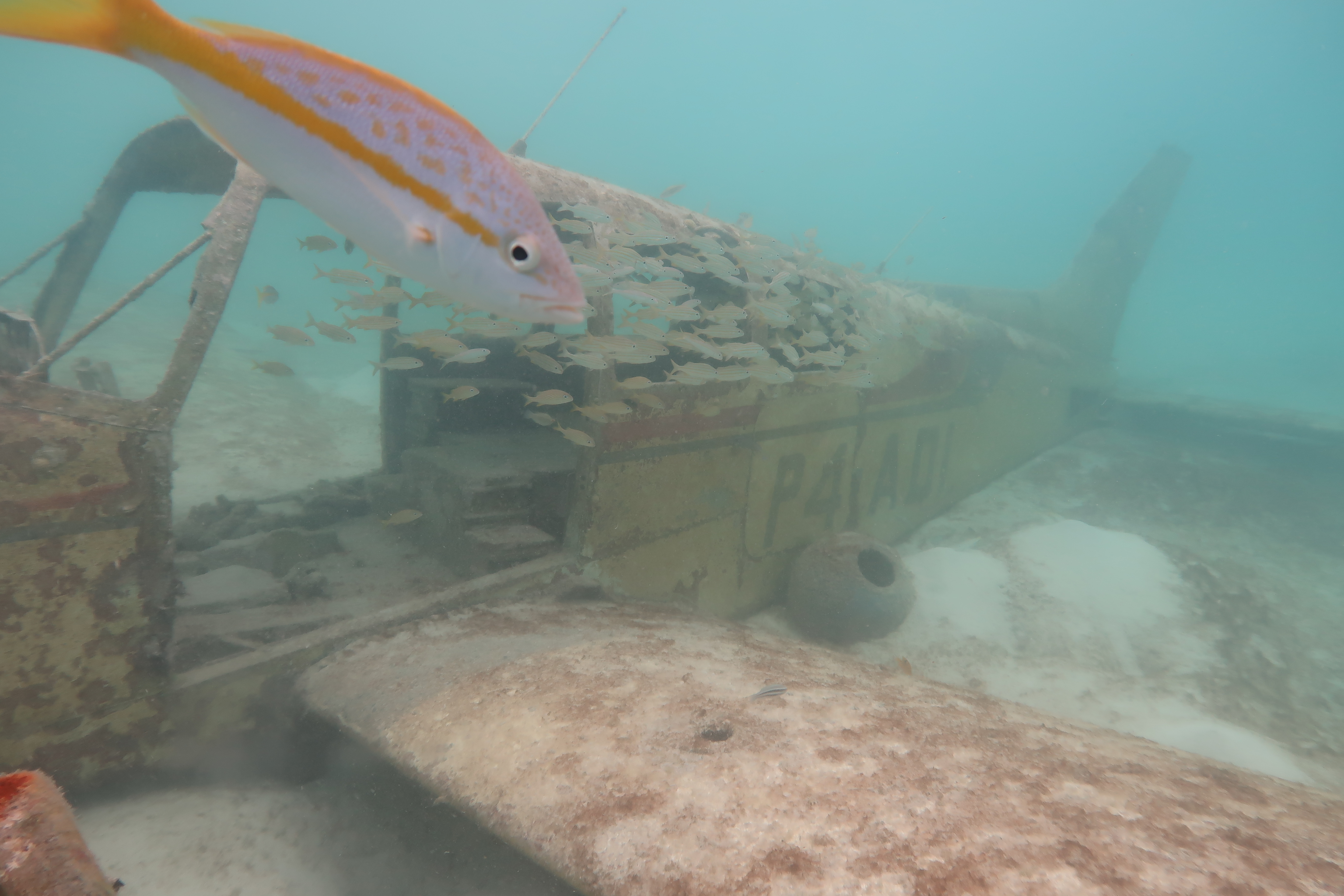 Atlantic Ocean crashed plane