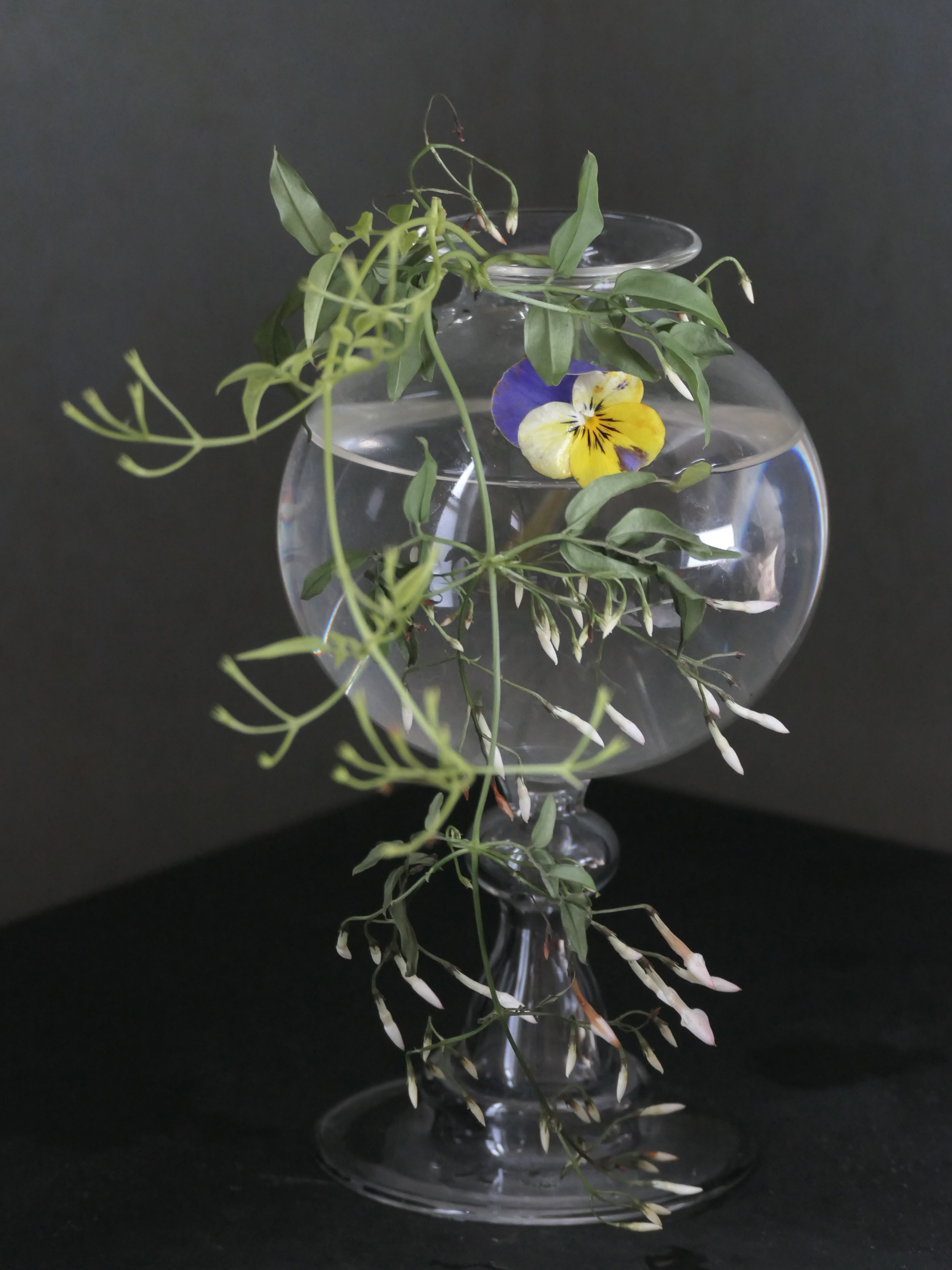 Still Life (Special edition)