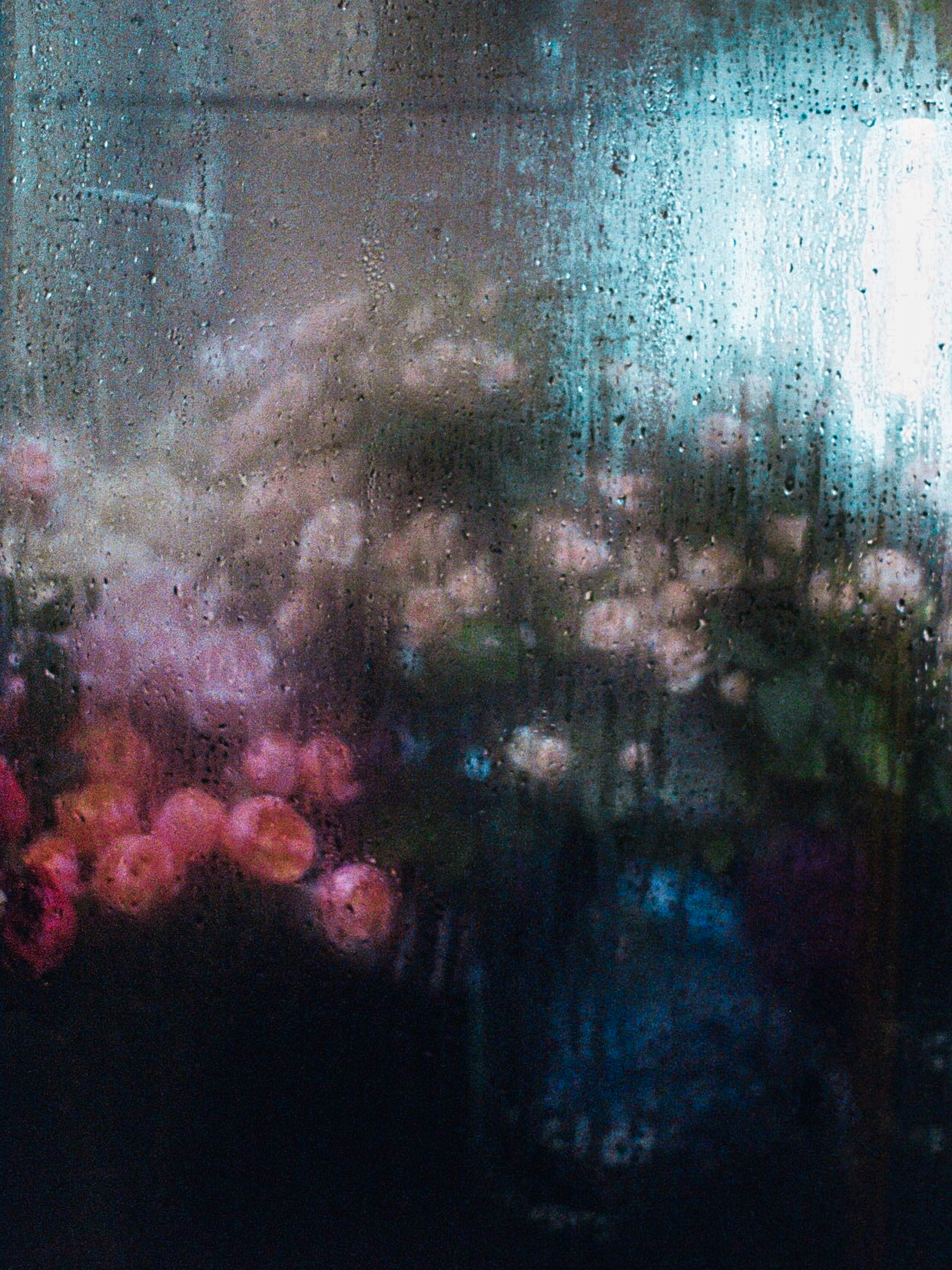 Un Doux Rêve d'été