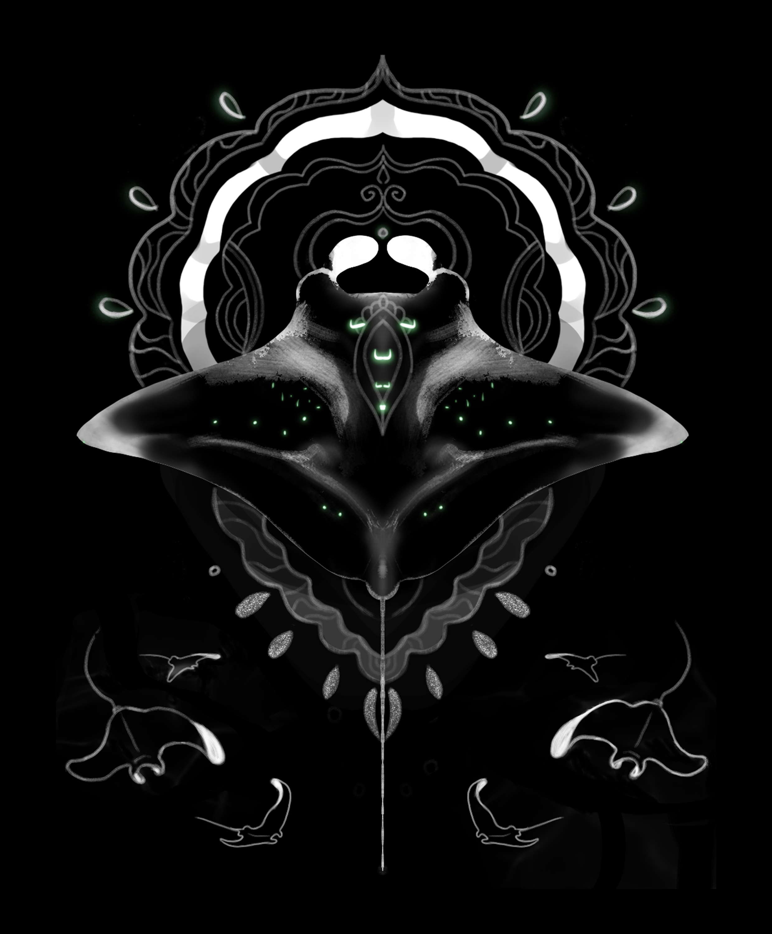 Manta- The Wings of The Ocean