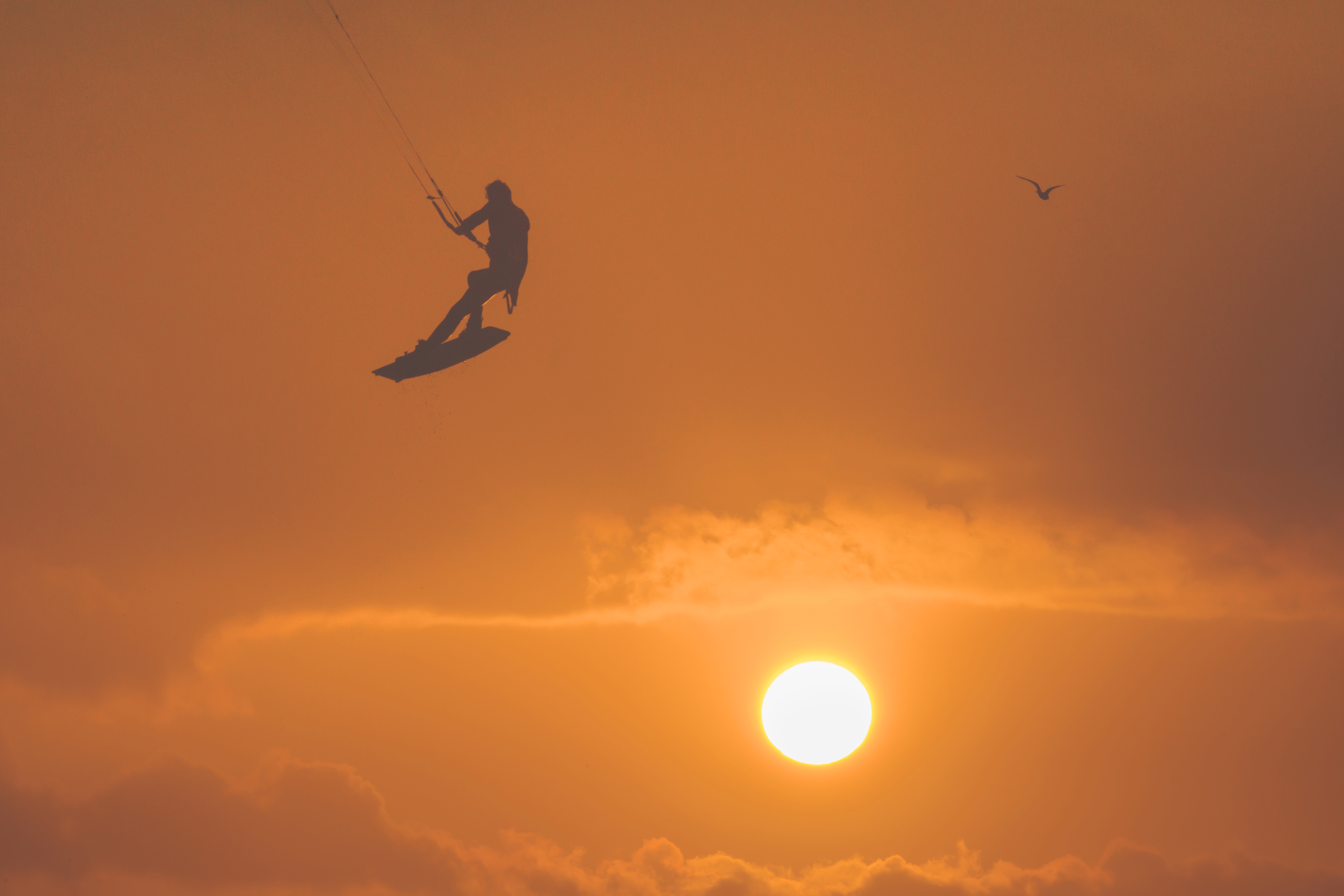 sun surfer 