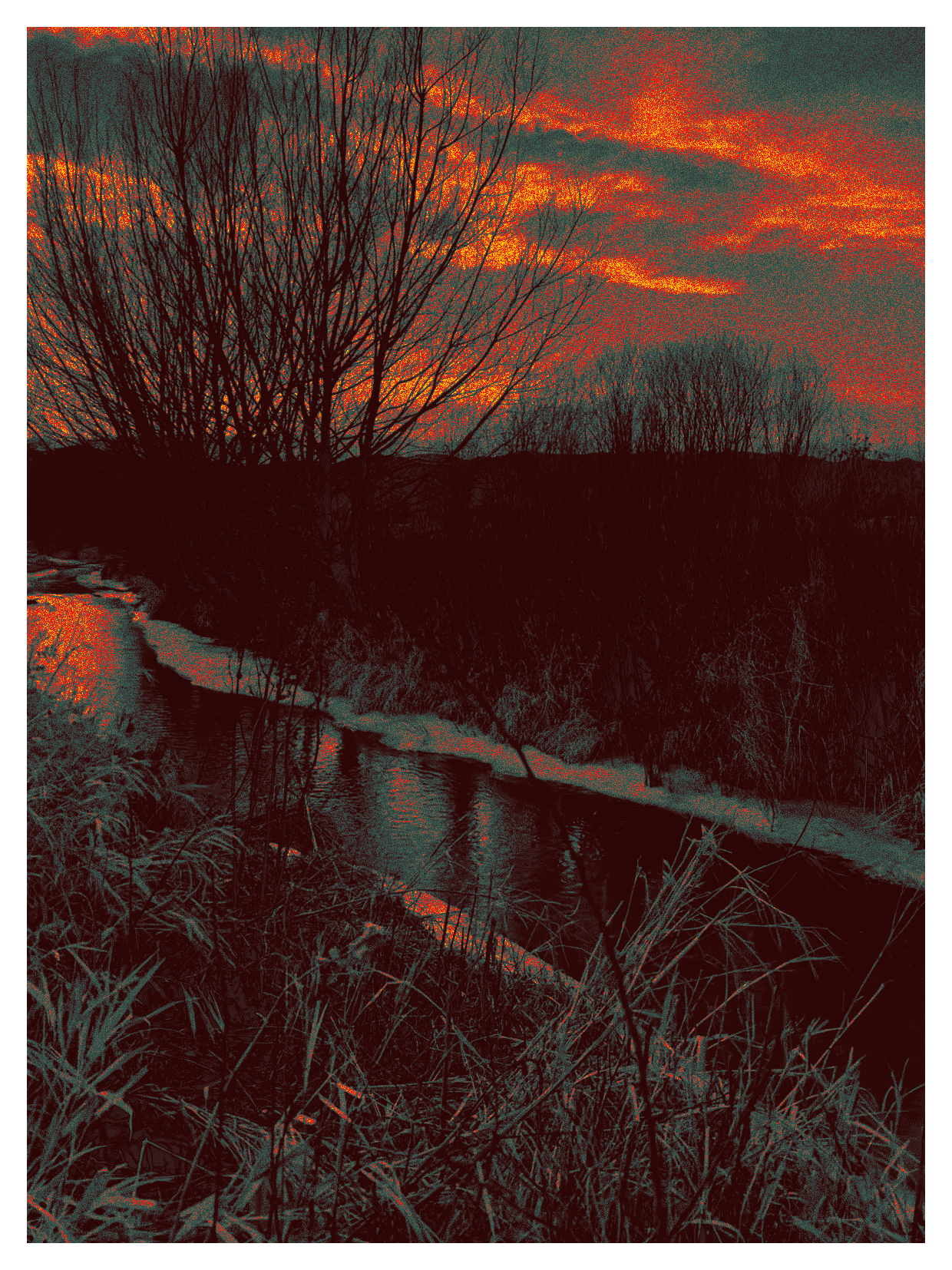 Left Hand Creek At Dusk