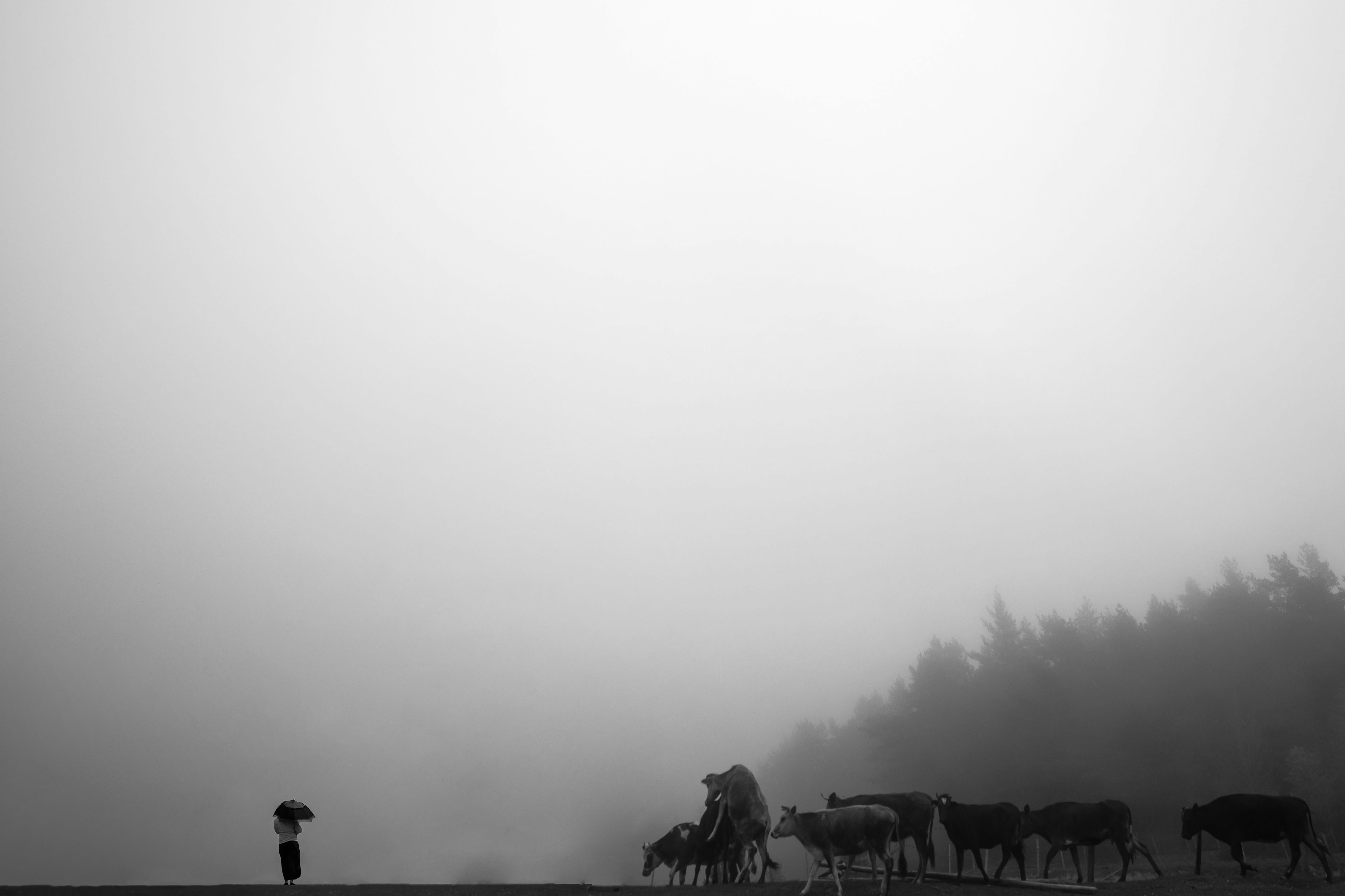 Try Walking In My Shoes