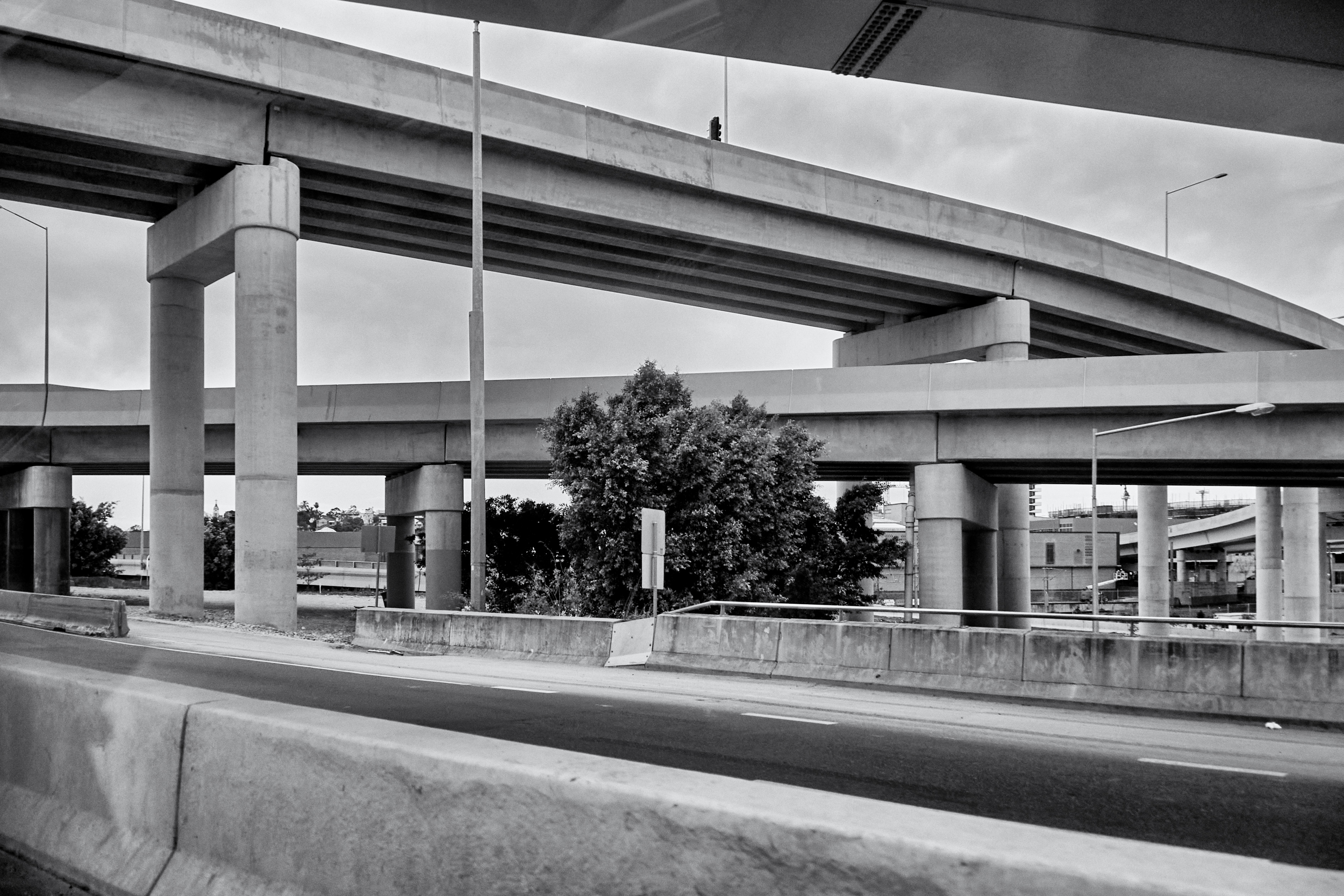 Phytological Inconvenience // Scar Tissue