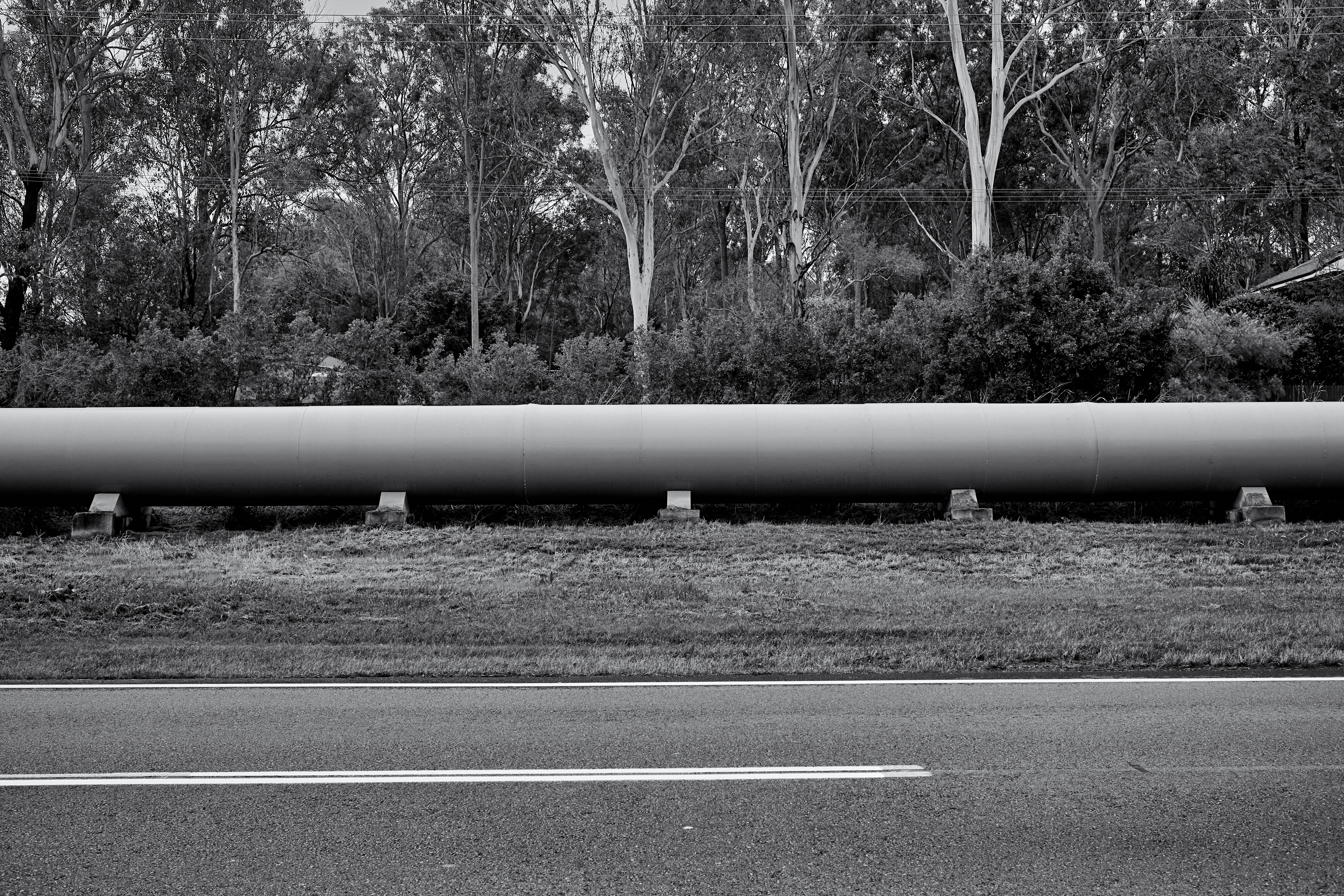 Distribution Hierarchies // Scar Tissue