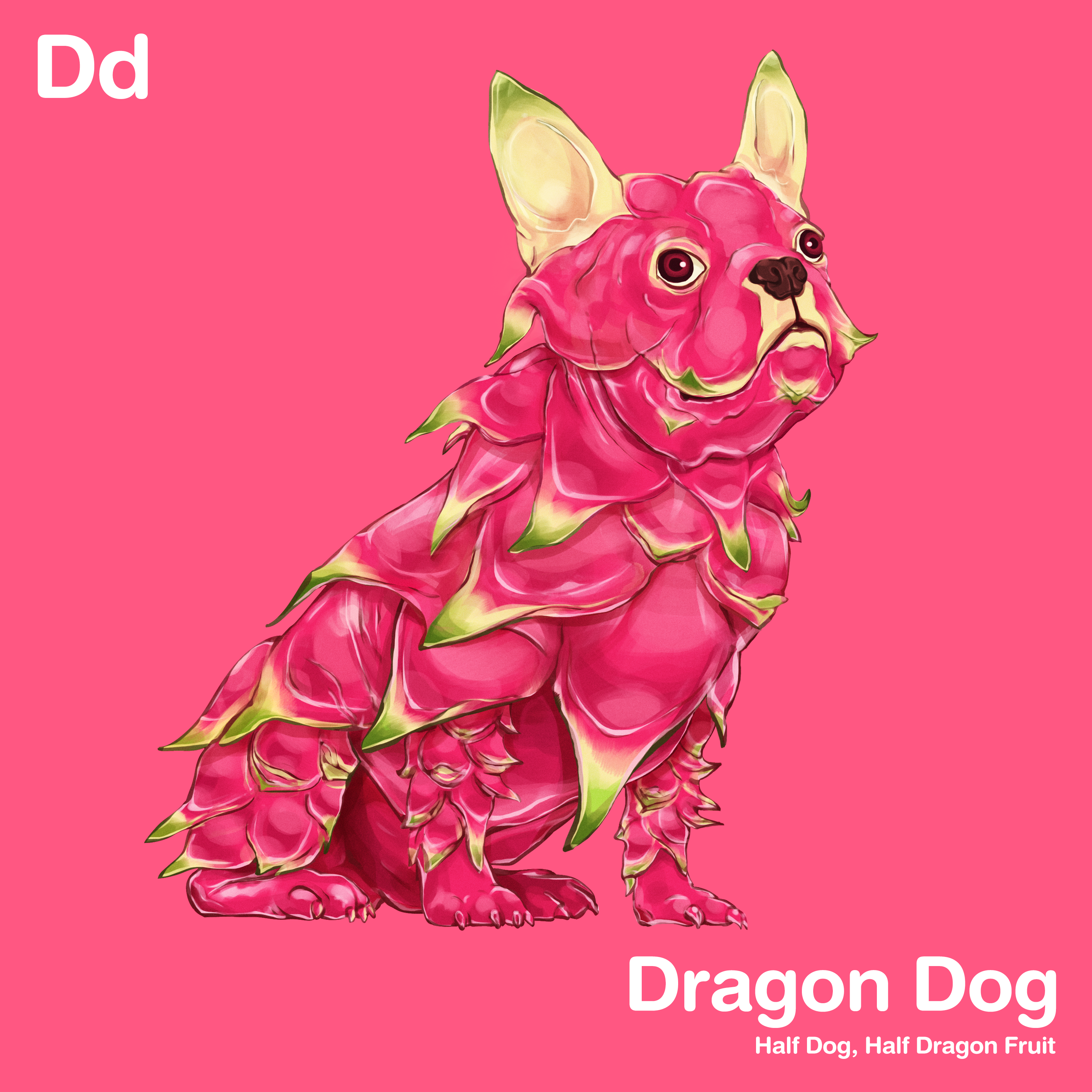 Dd - Dragon Dog
