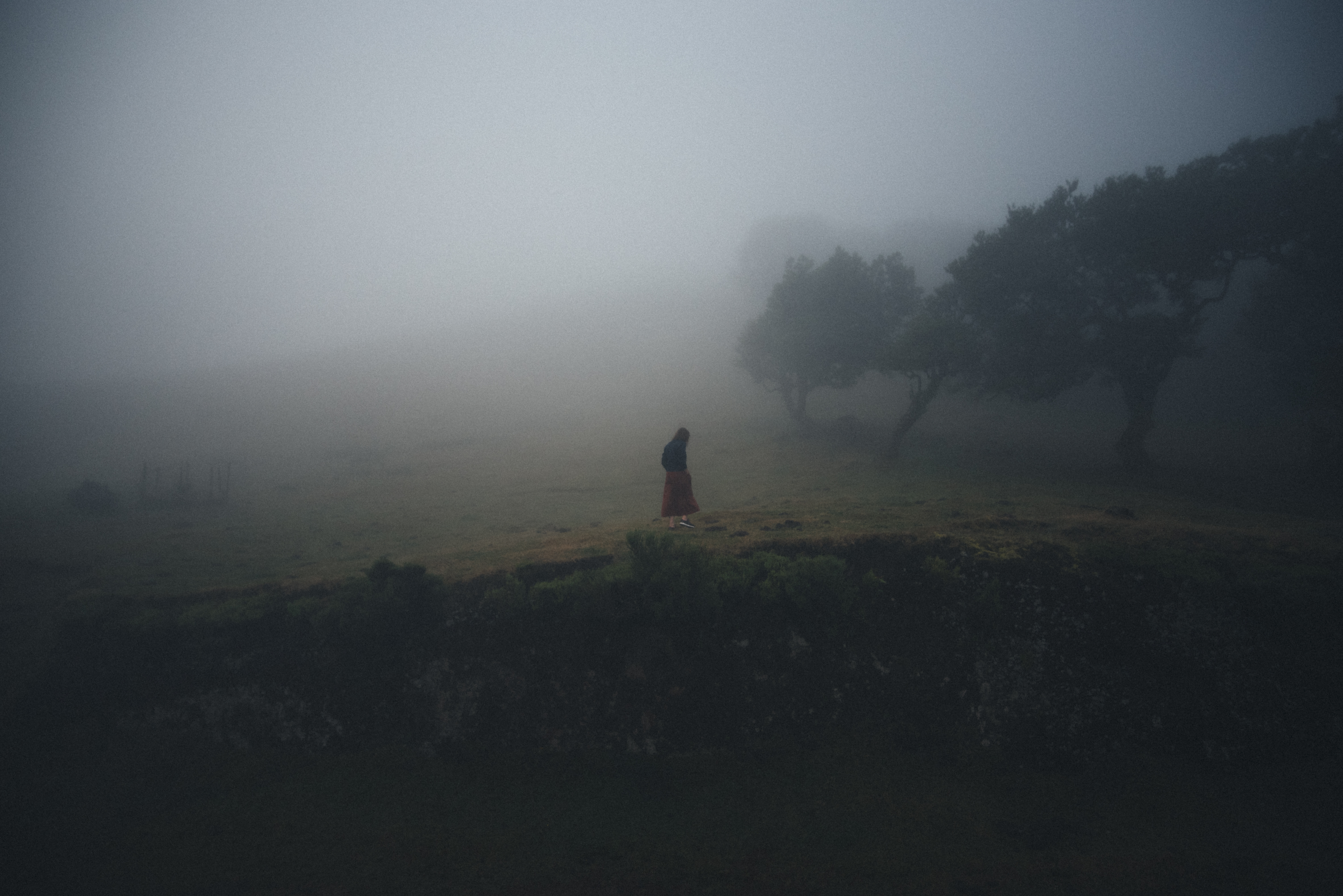 Sense Of Being