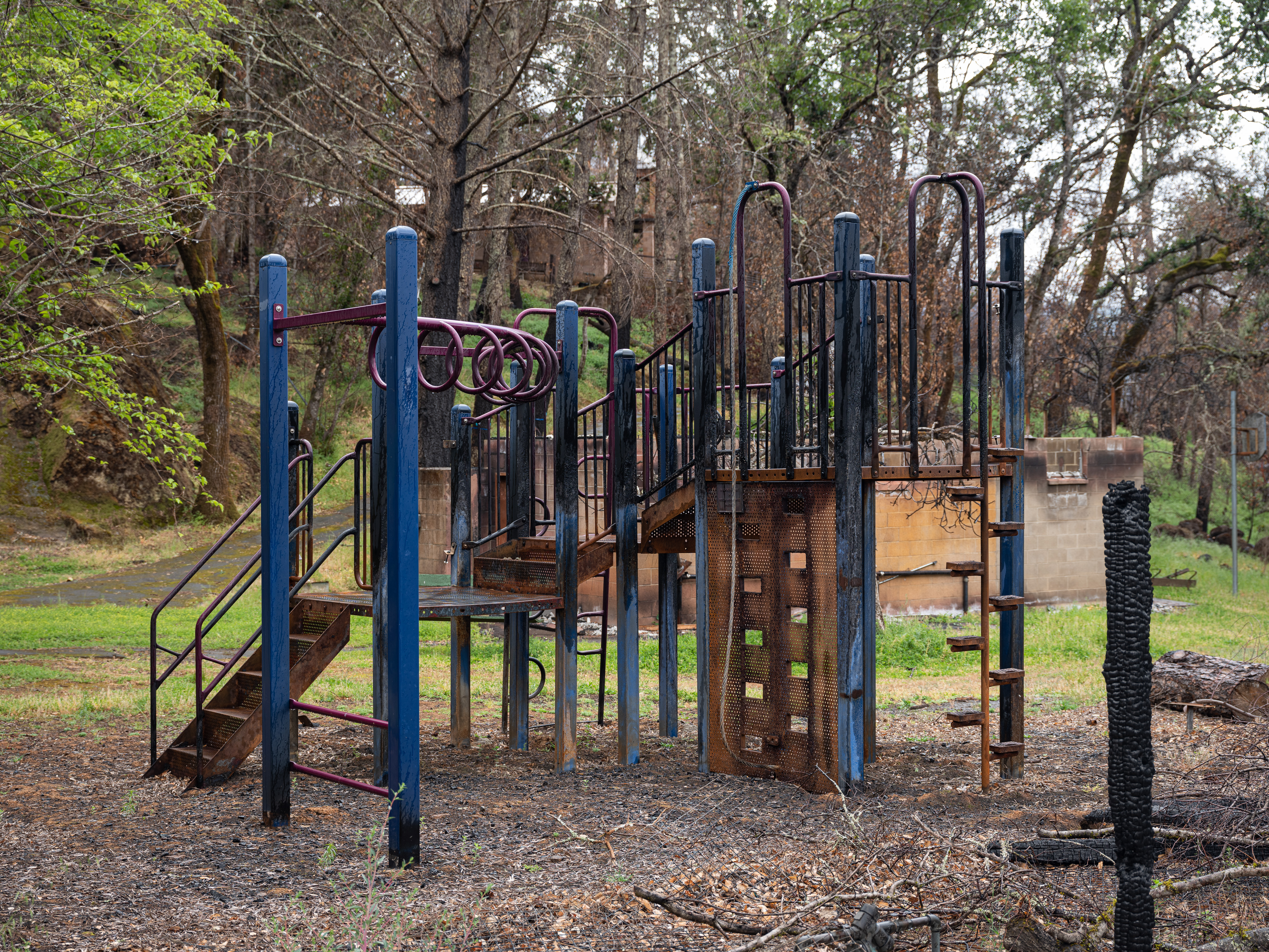 POST #1 - Macedonian Park