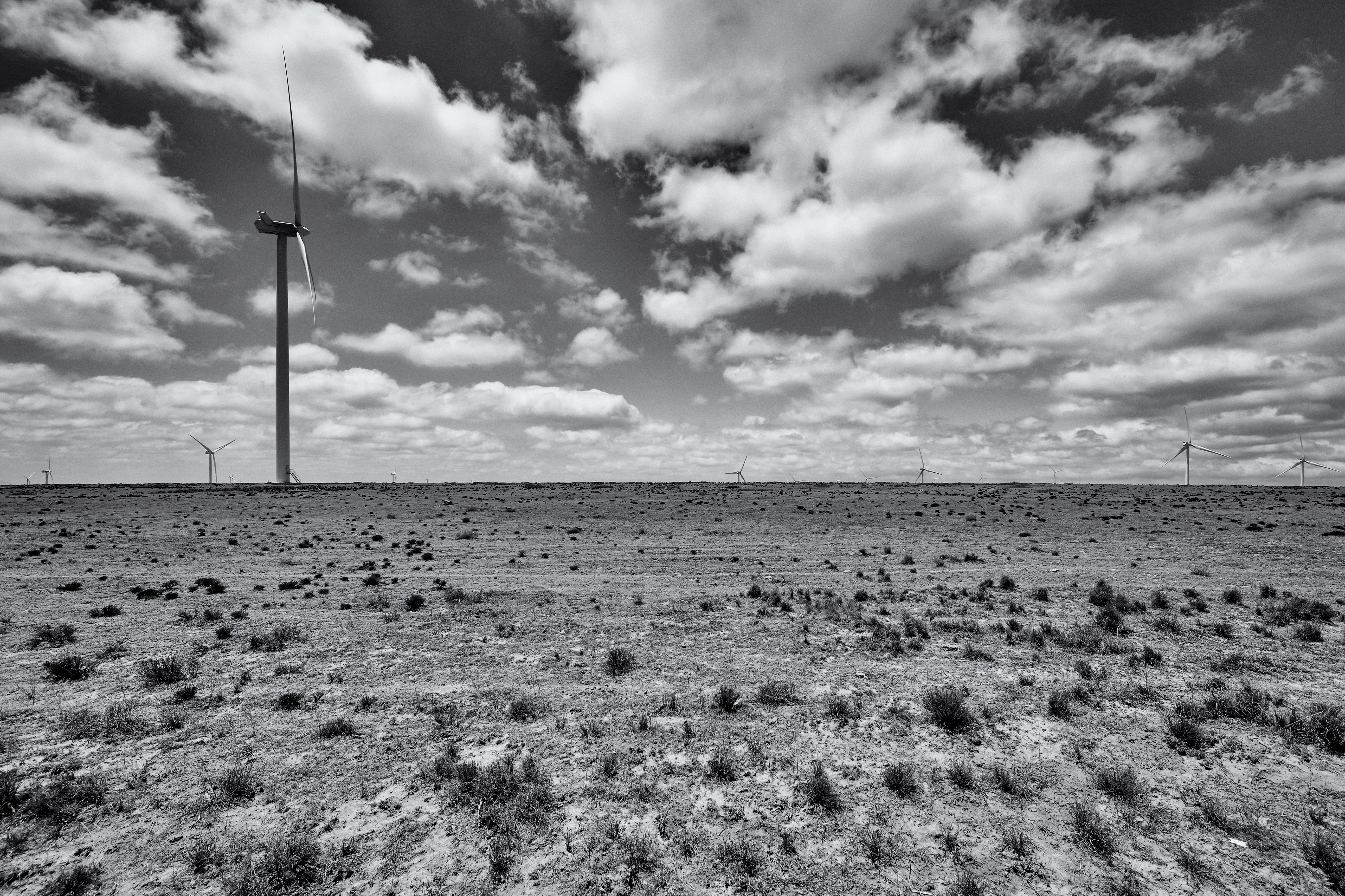 Continuity Prognosis // Scar Tissue