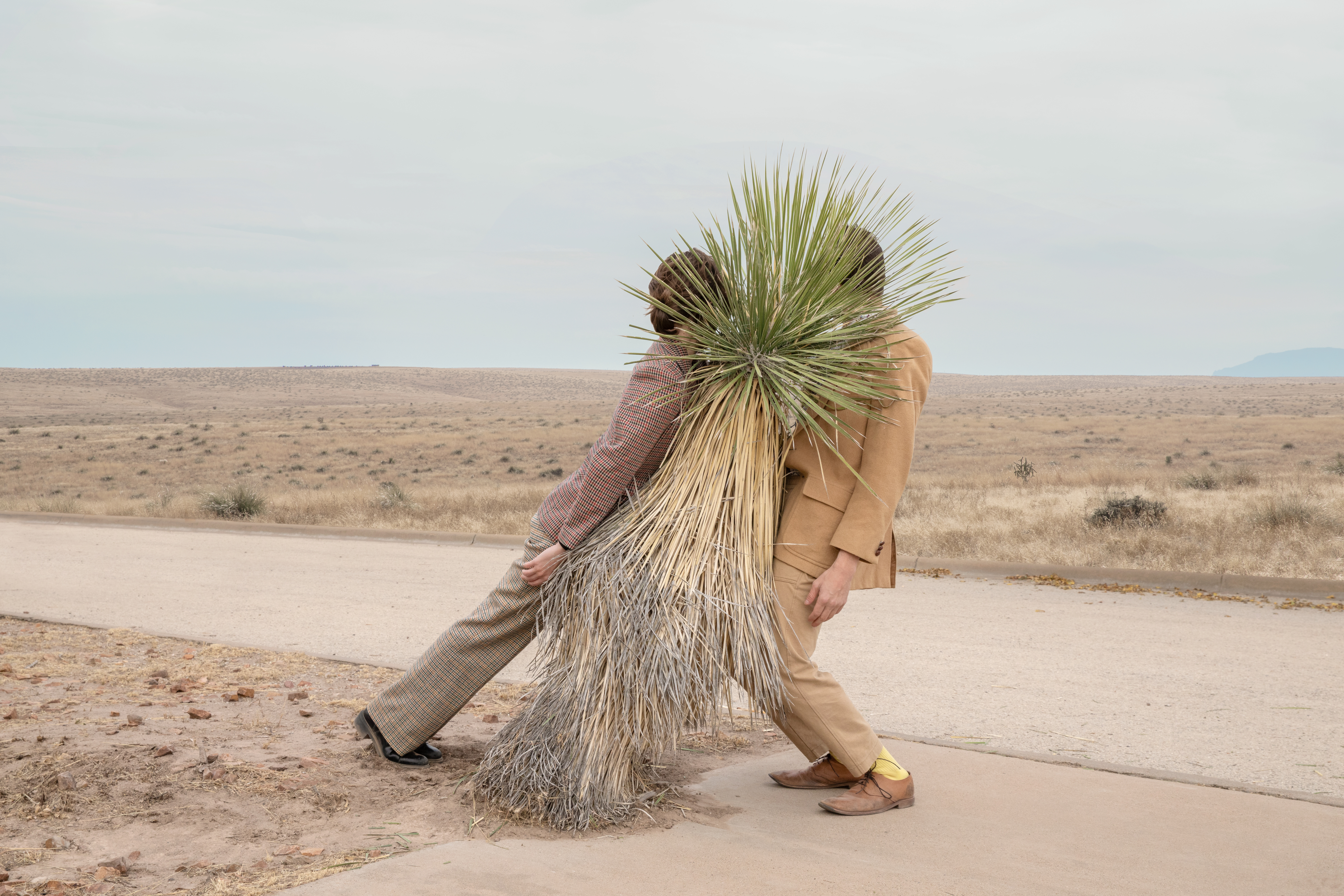 Act Normal They Said