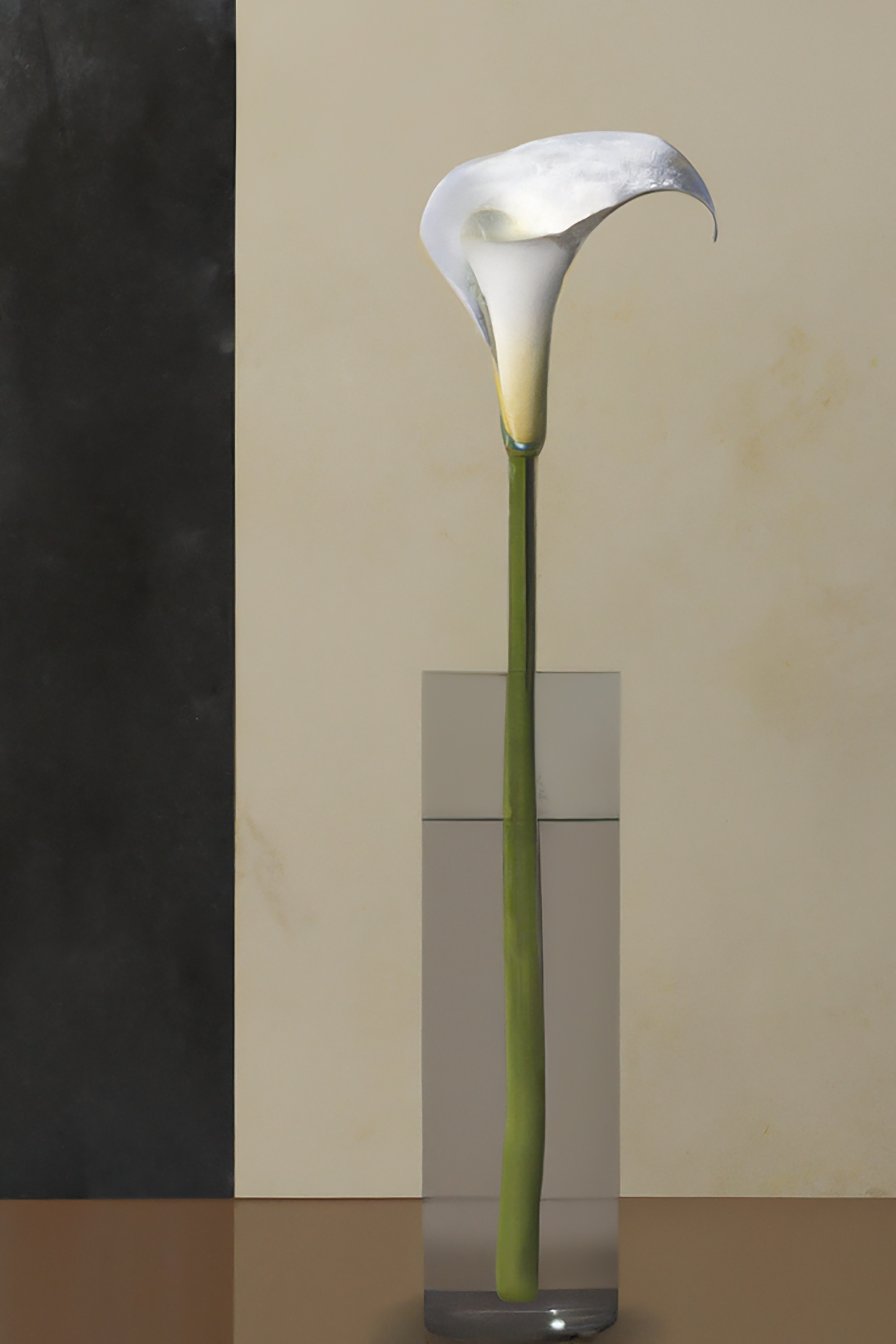 Nature Morte de Lys de Calla