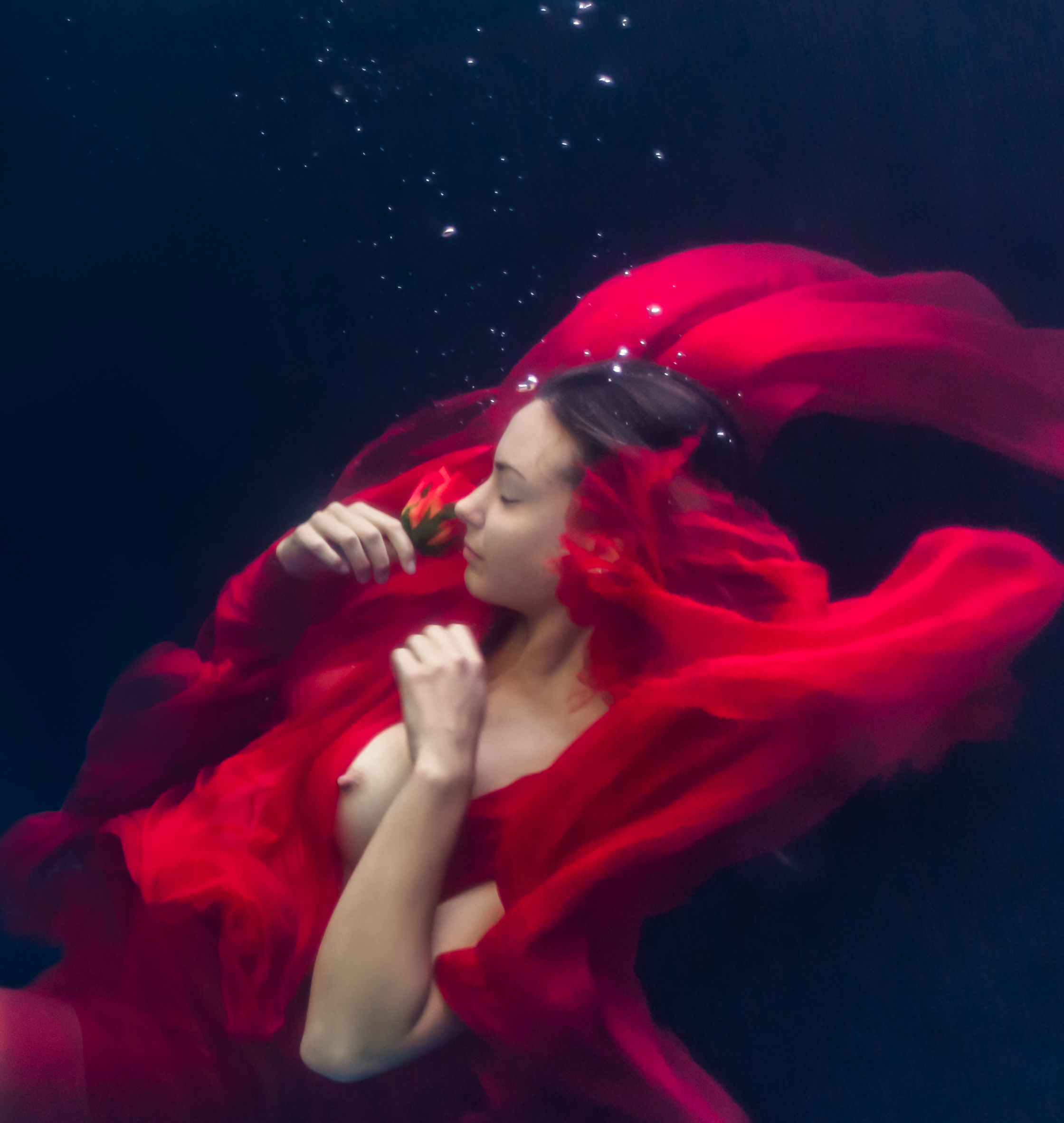 Garden of Earthly Delights #2