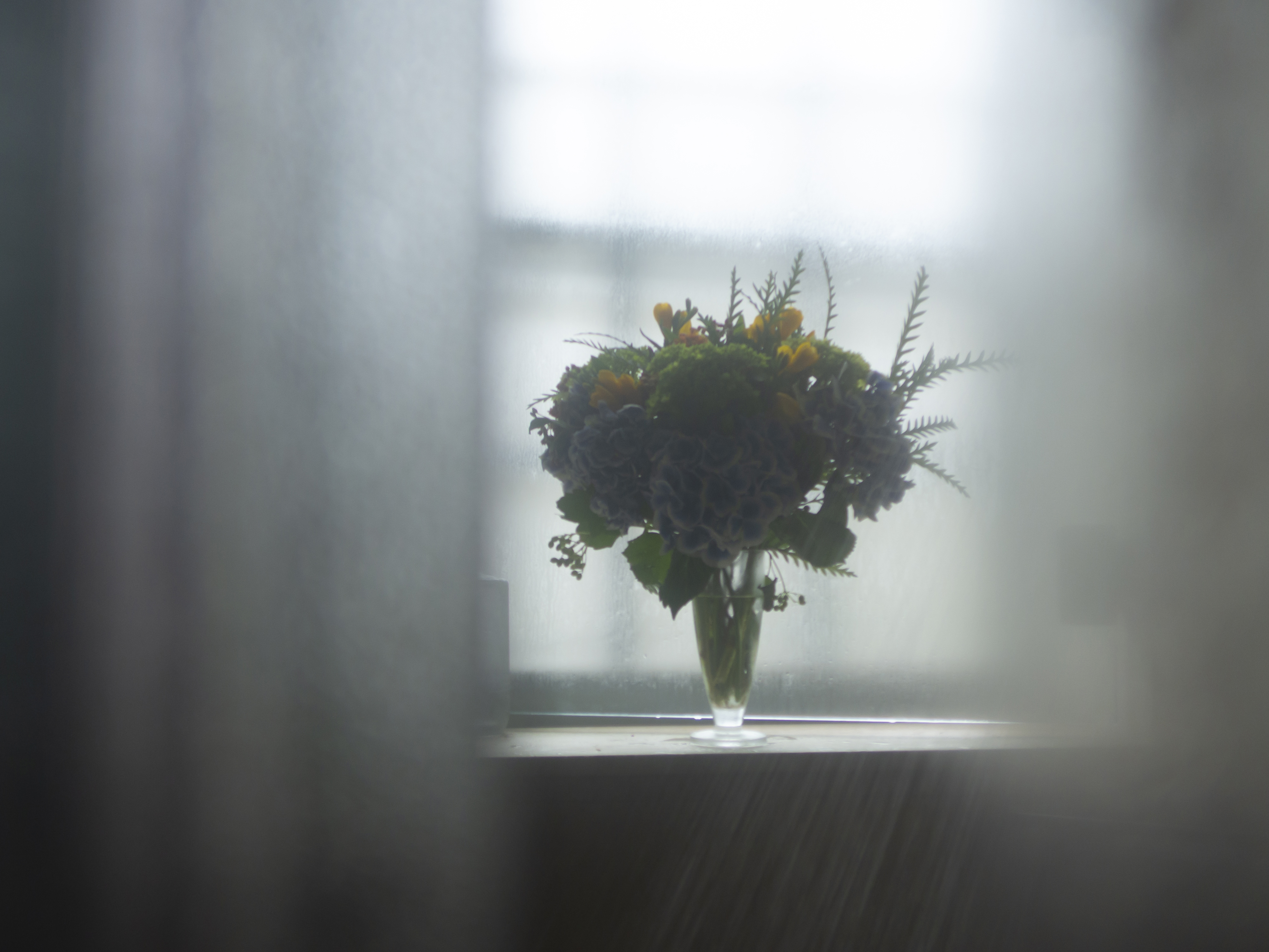 Through the Glass Doors