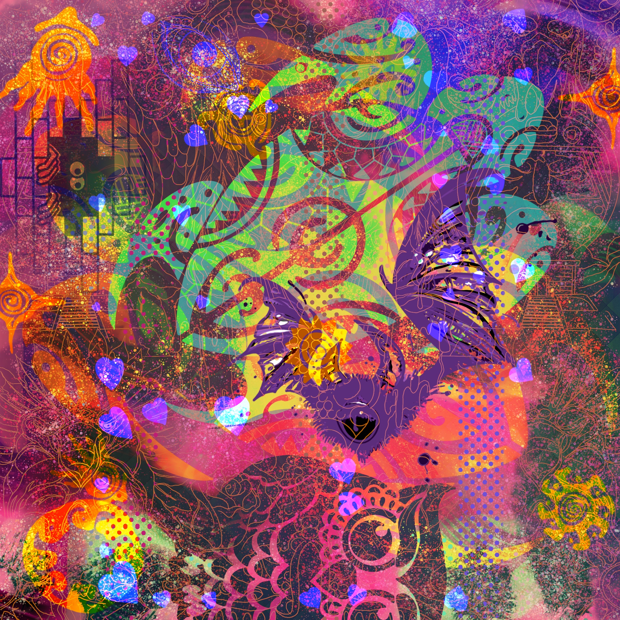 BE WEIRD , DON'T APOLOGIZE !!