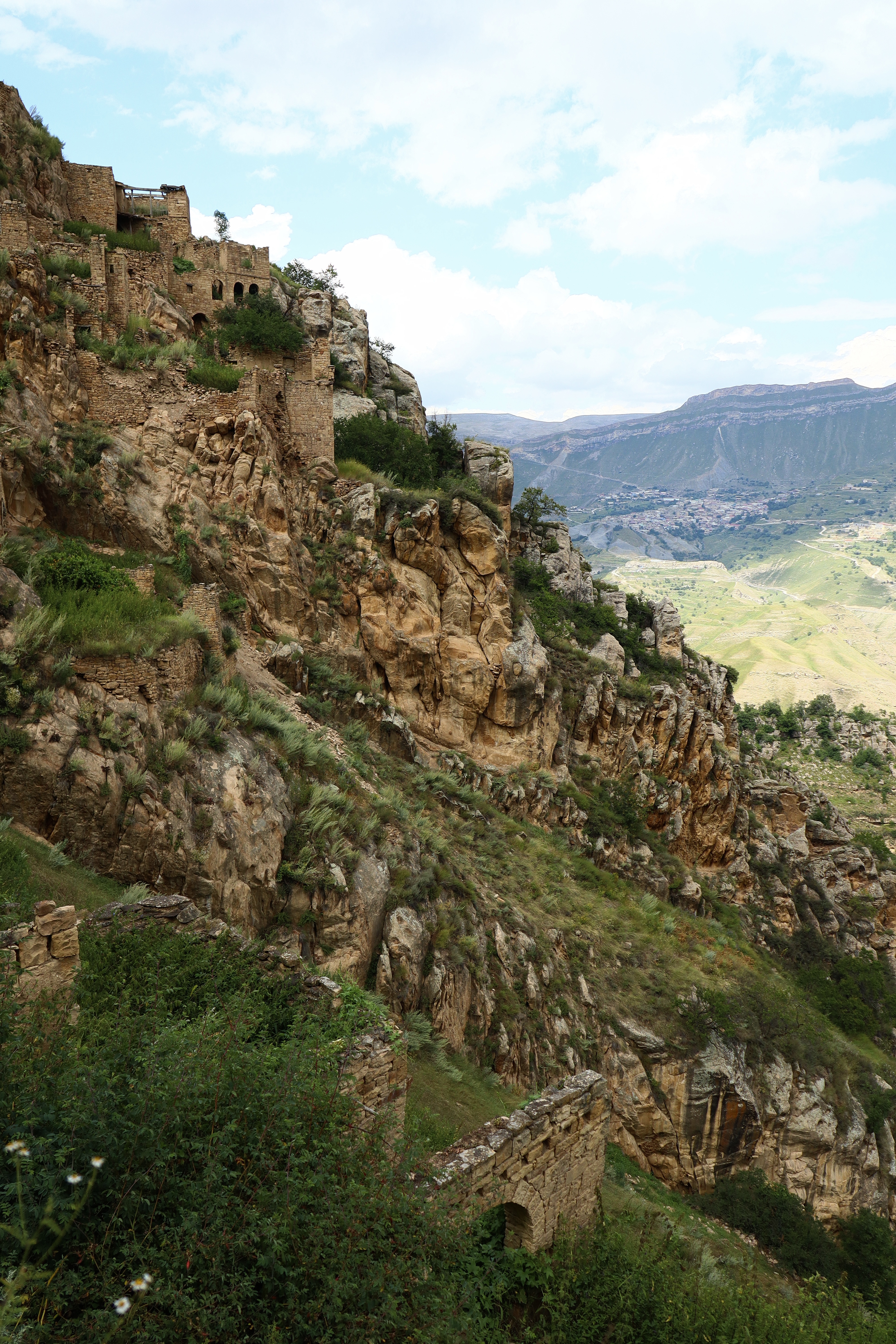 Cognition of the world