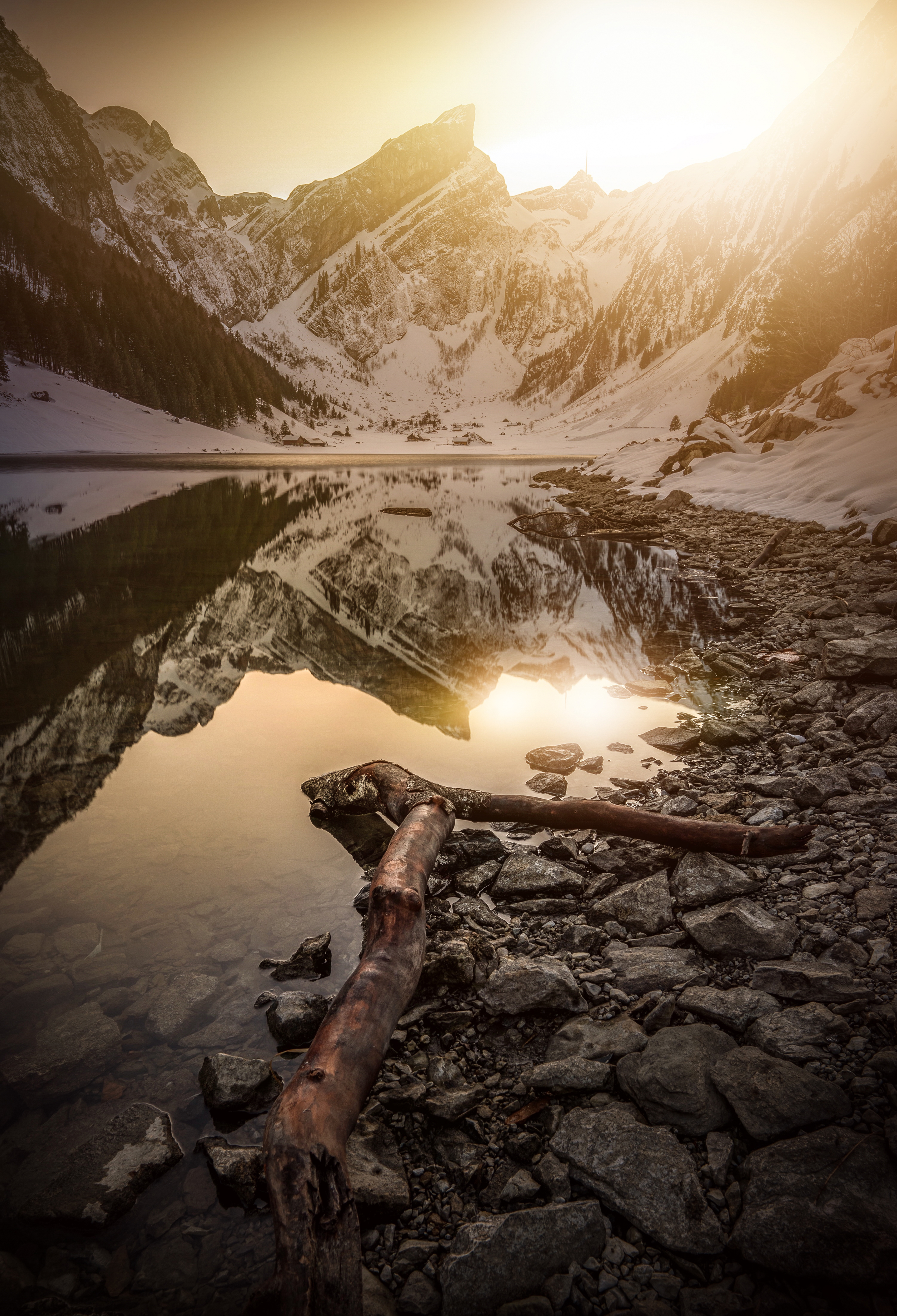 Alpine Lights - Voices #21