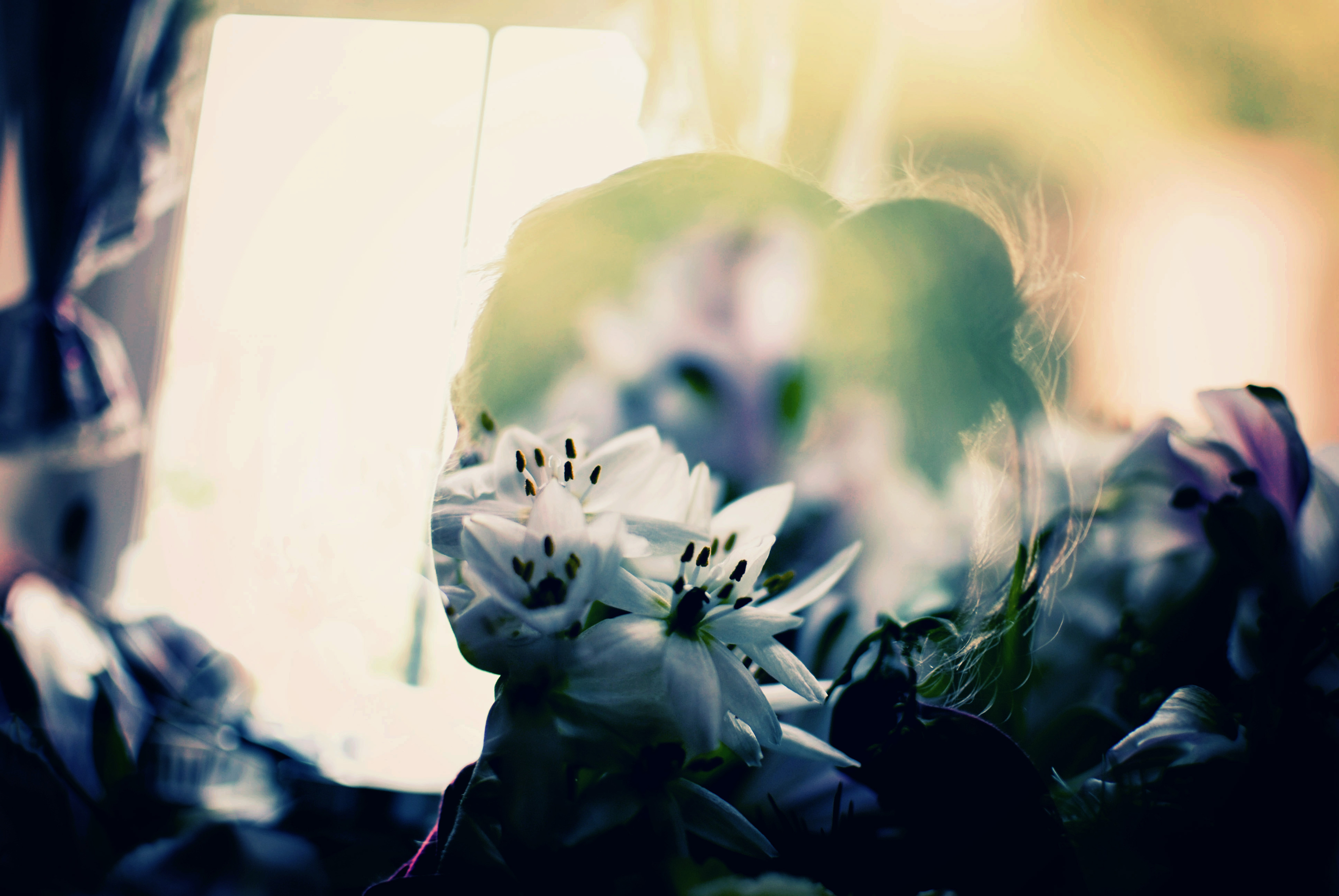 Blooms