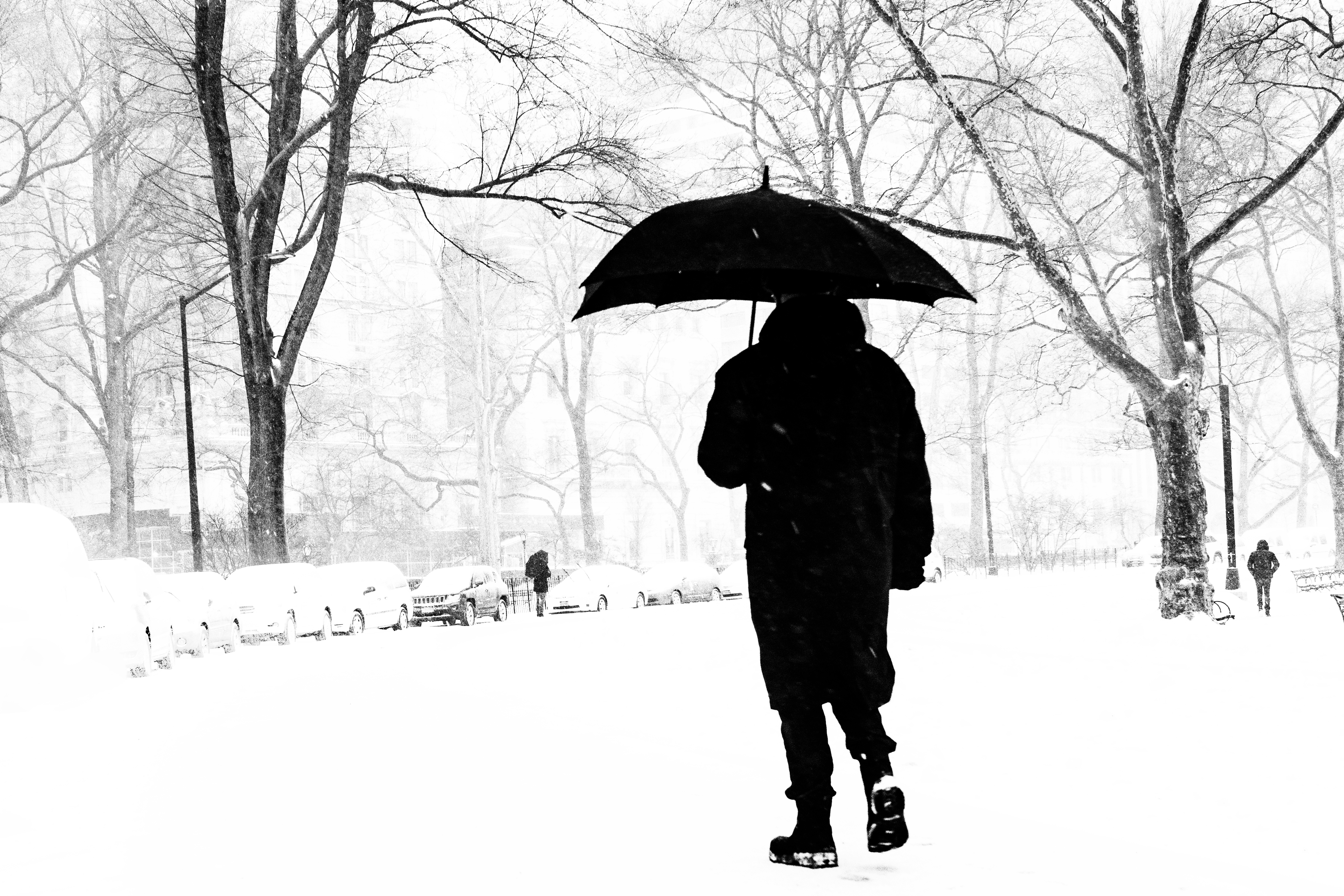 Silent Walk