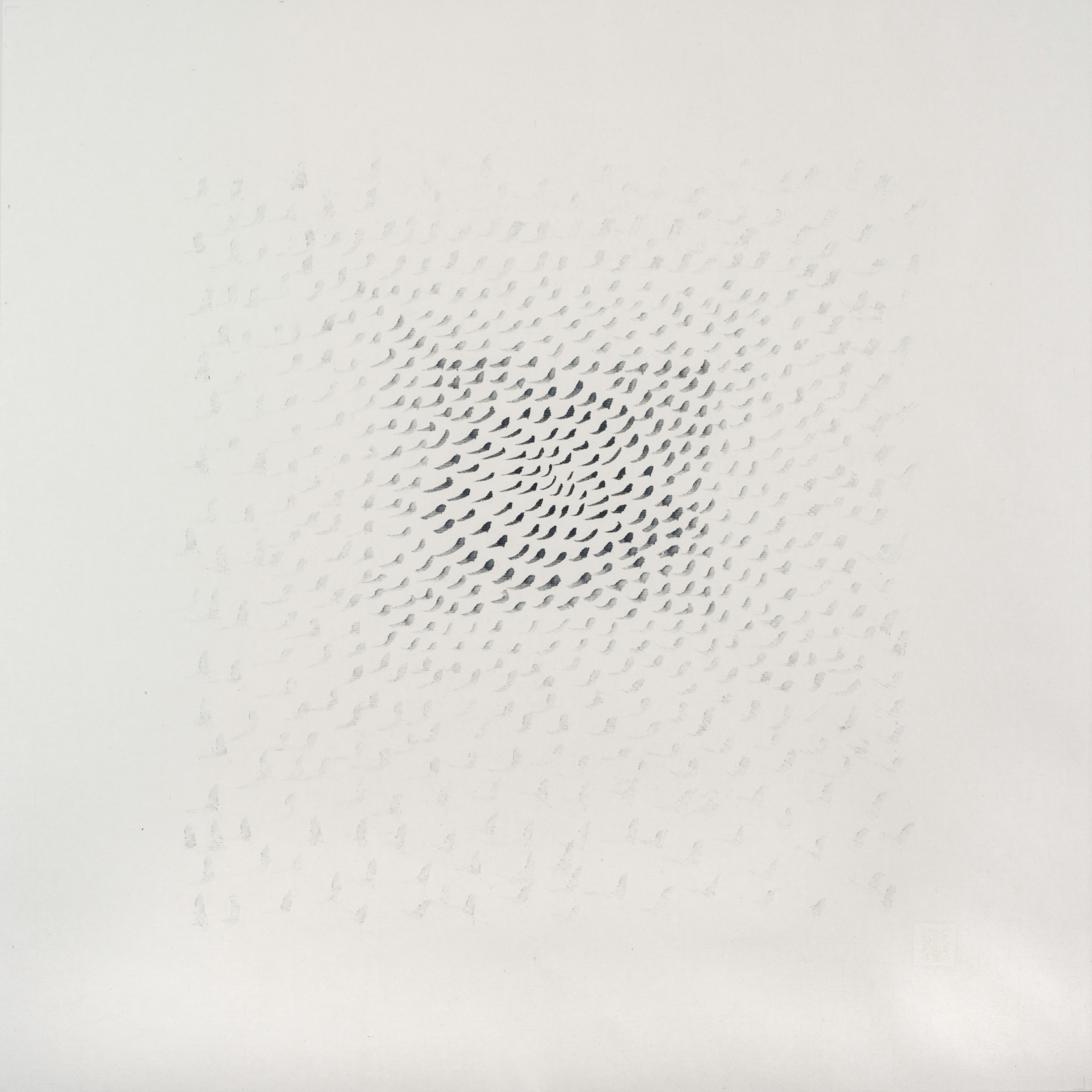 In Seeing We Lose Sight