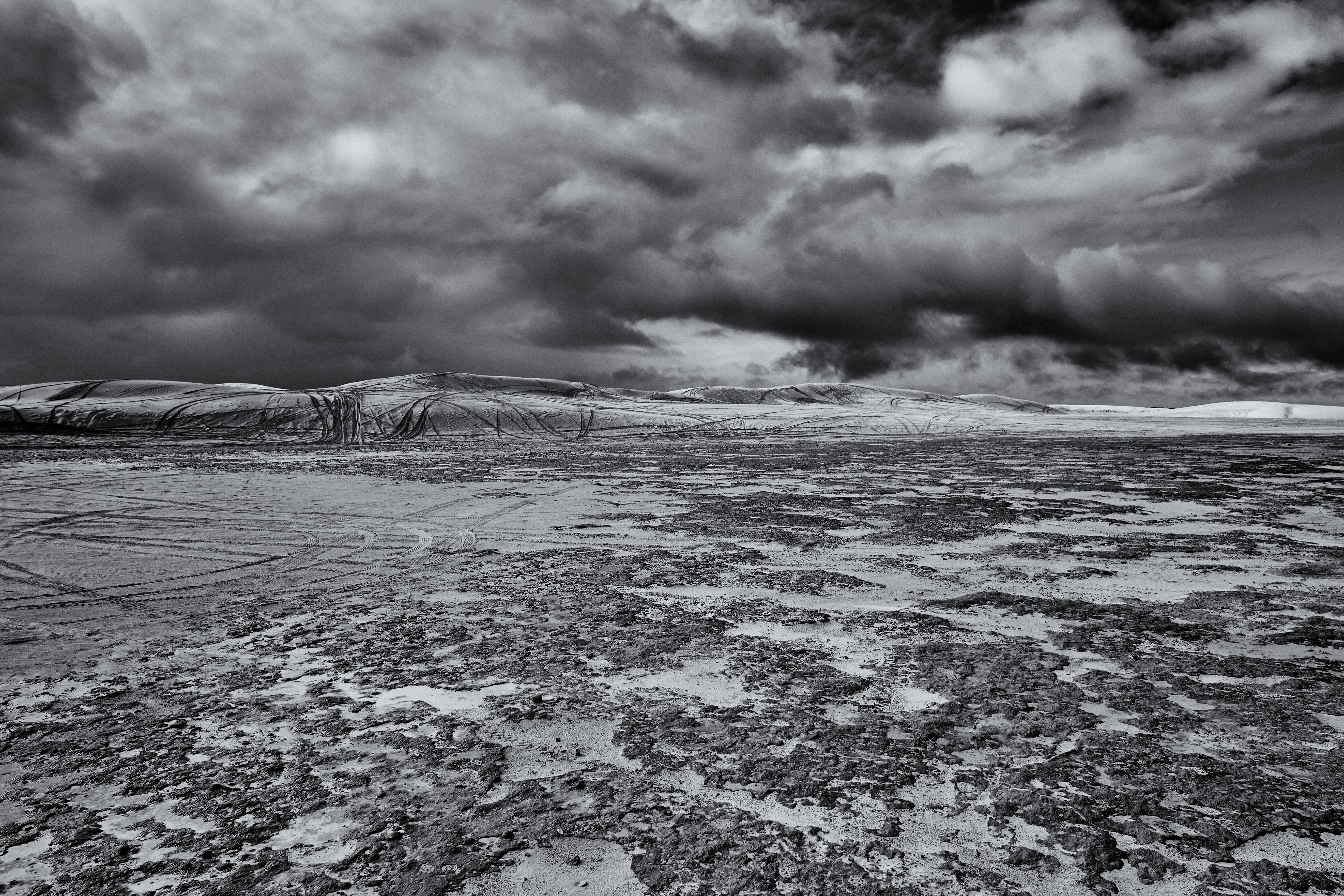 Desert Cuts // Scar Tissue