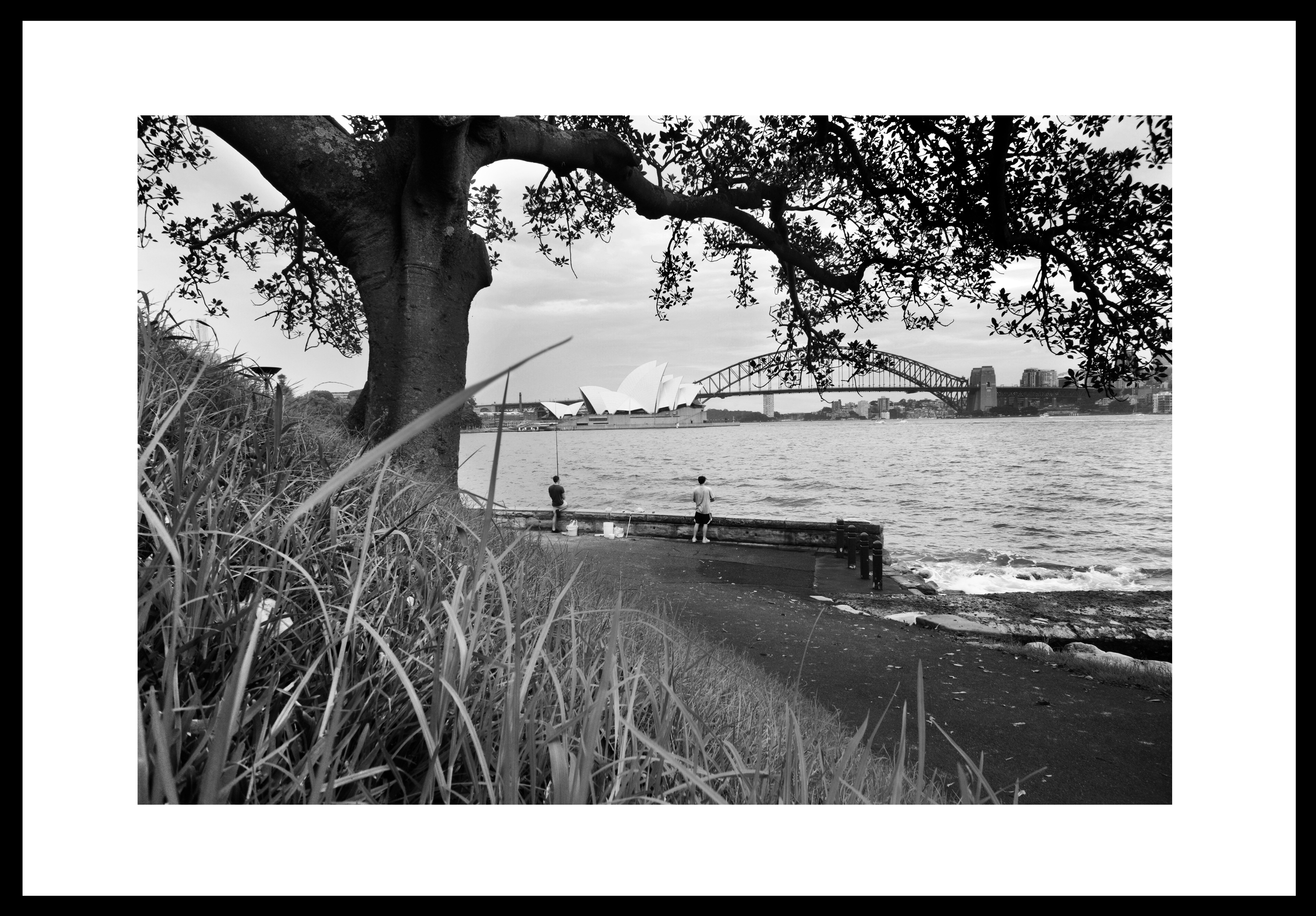 A Thousand Words #3: Fishing Friends