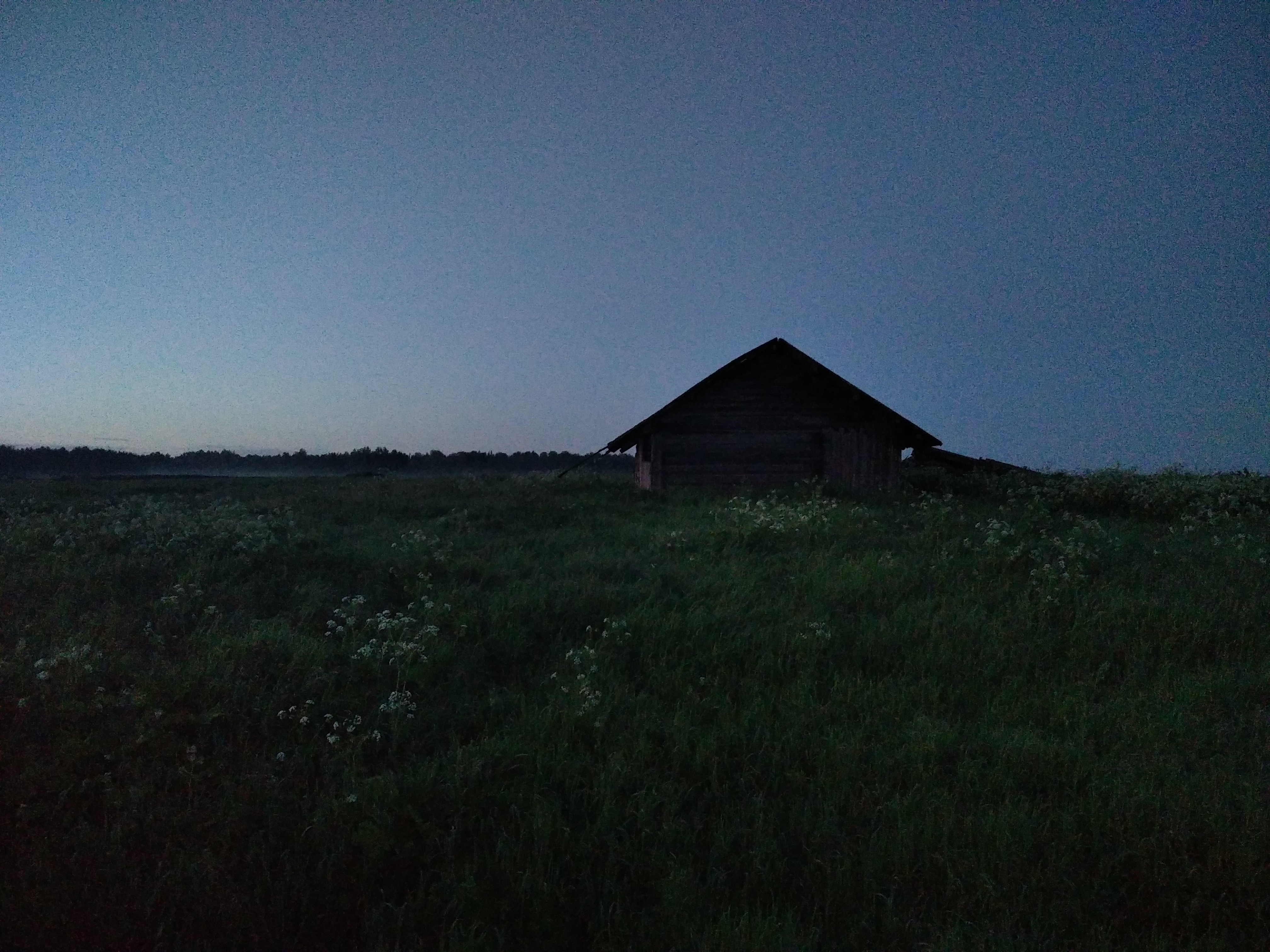 Alone in the field - not a warrior