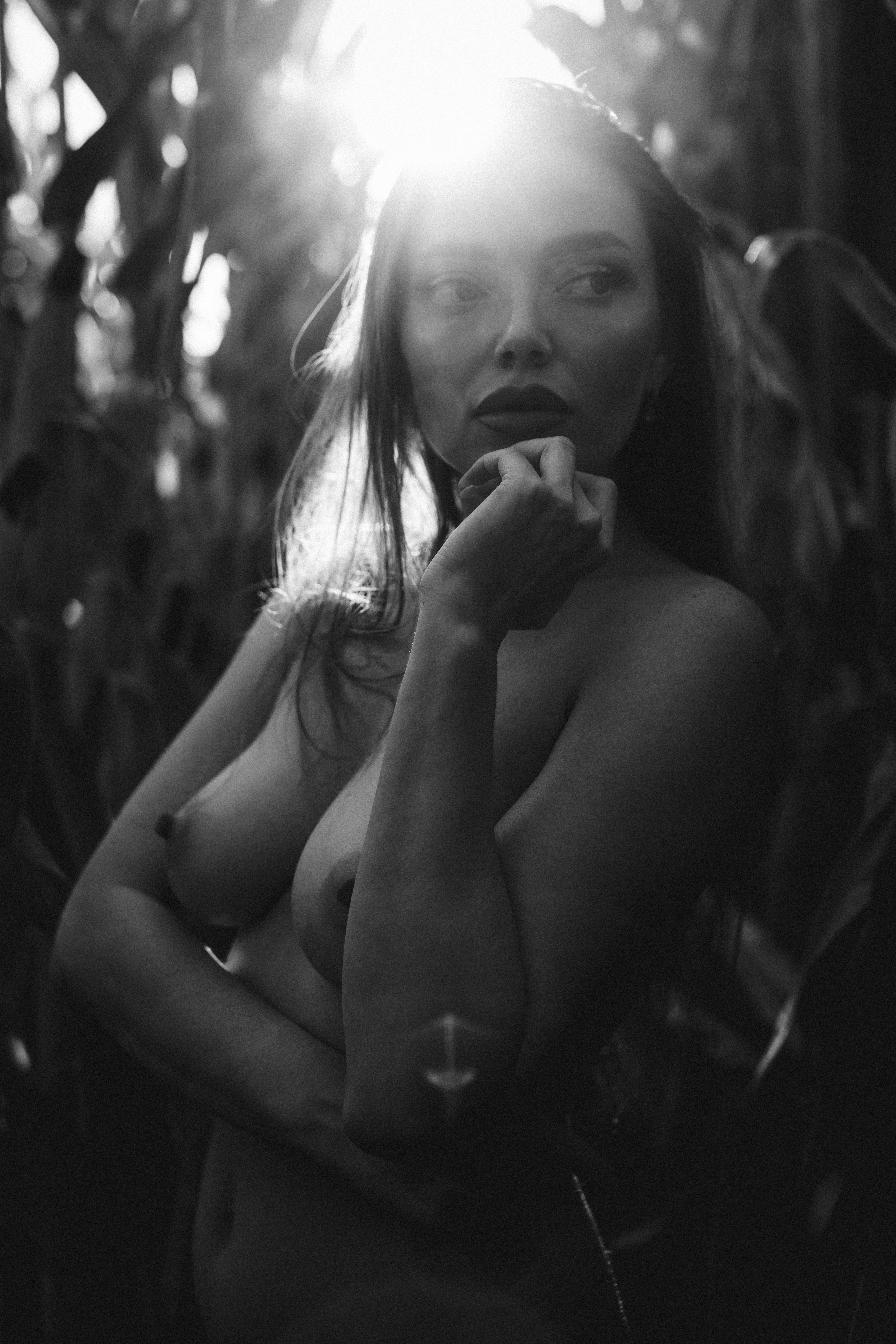 A summer day in the corn field